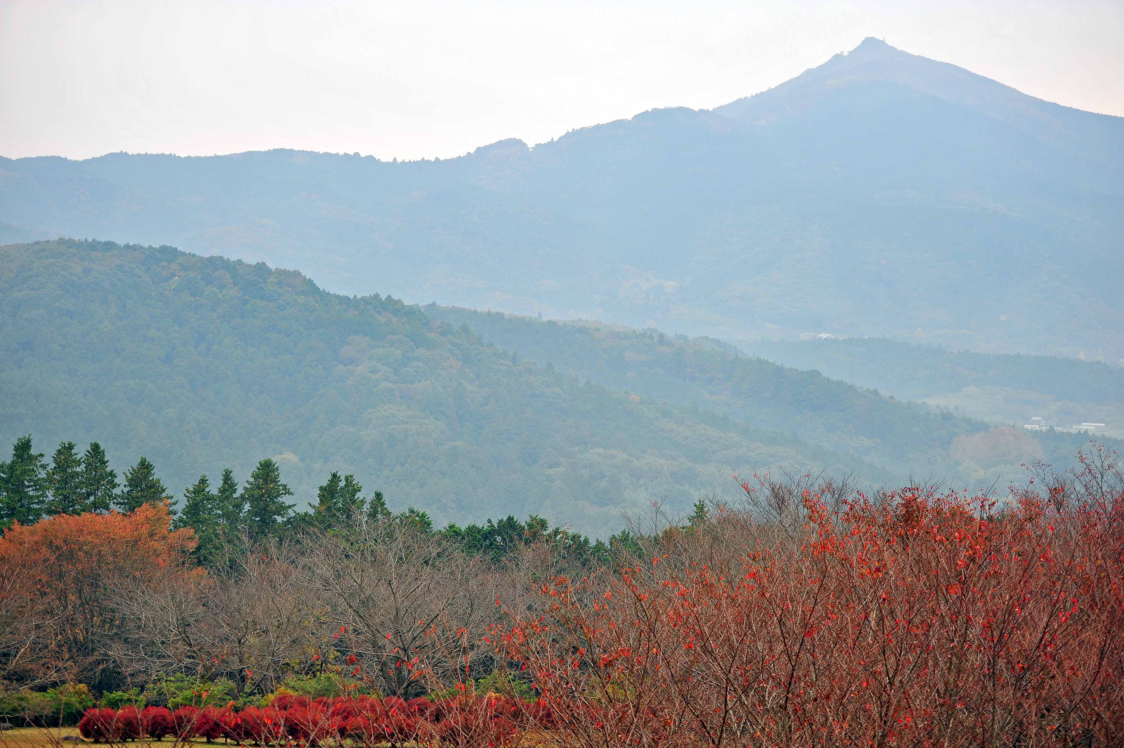 09 秋の風景