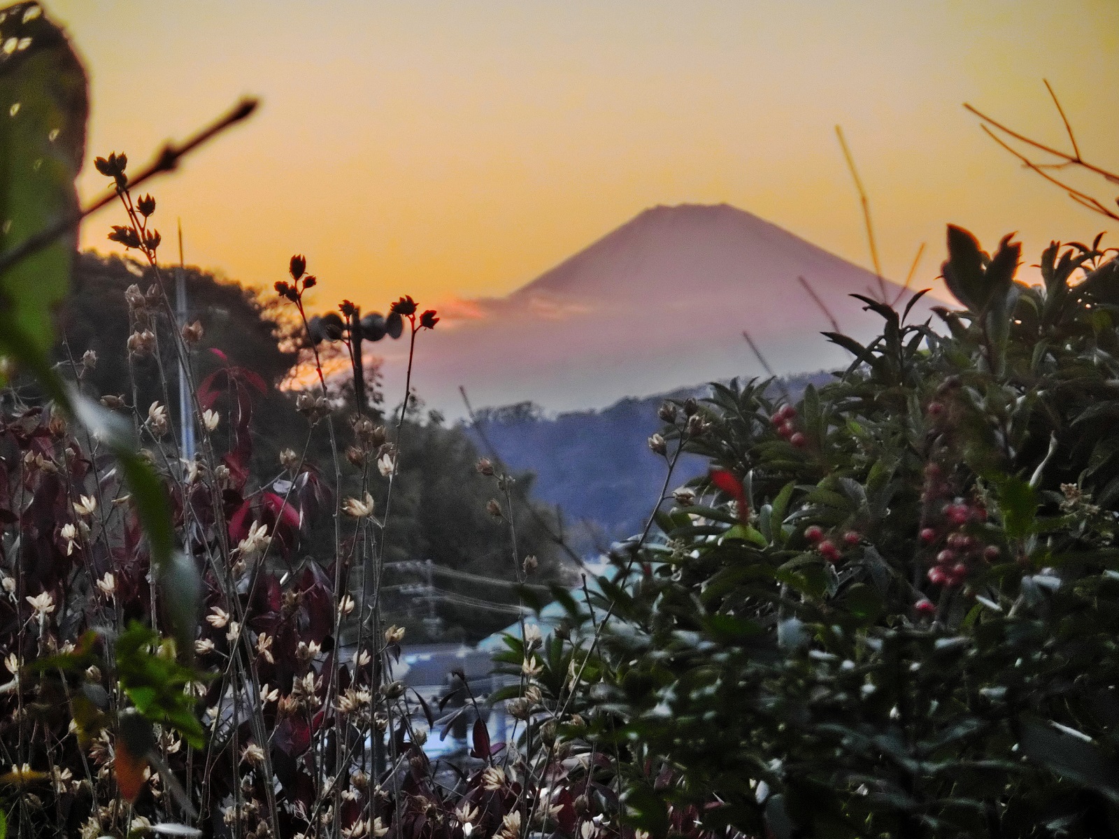 鎌倉のクリスマス3―暮れ行く山のクリスマス