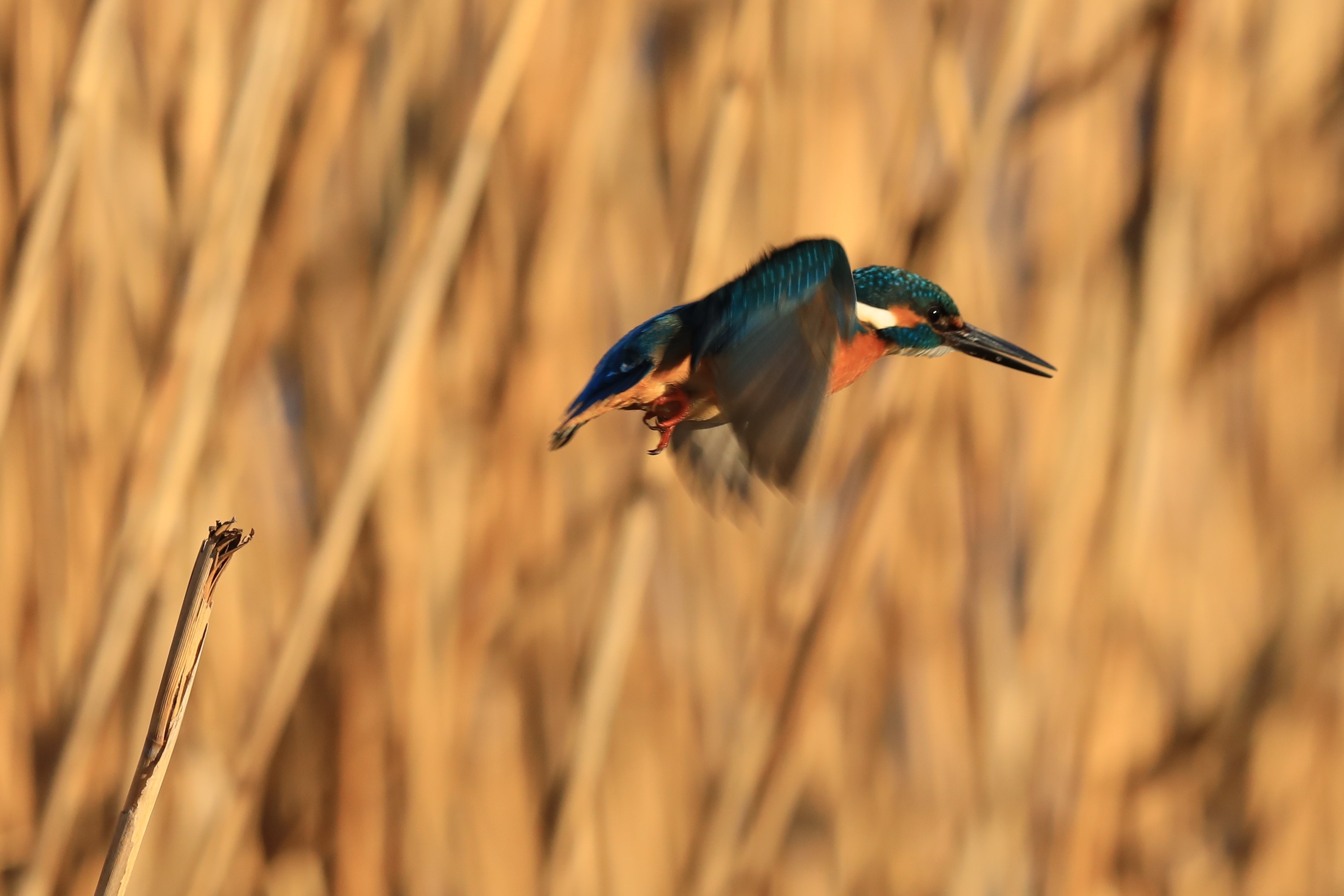 TAKE OFF