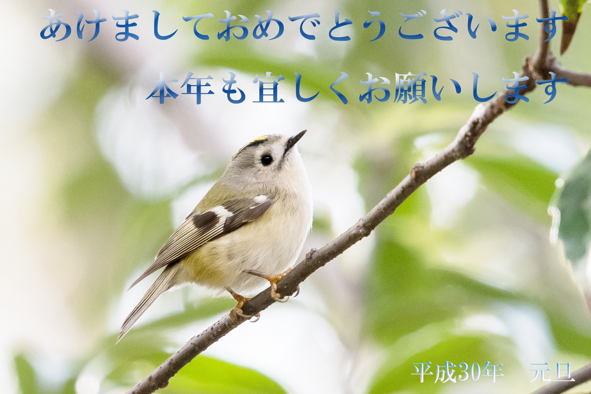謹賀新年