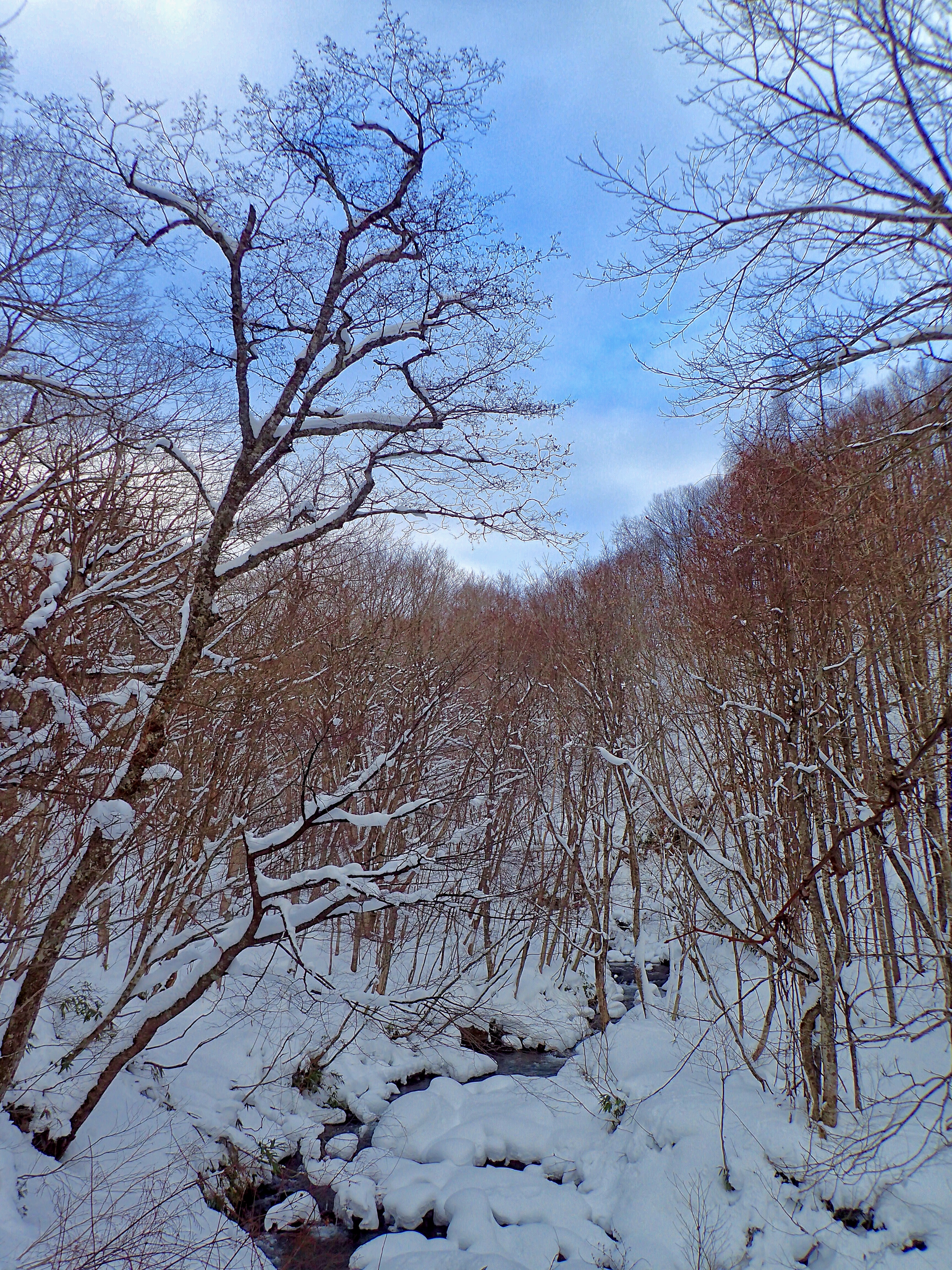 雪渓