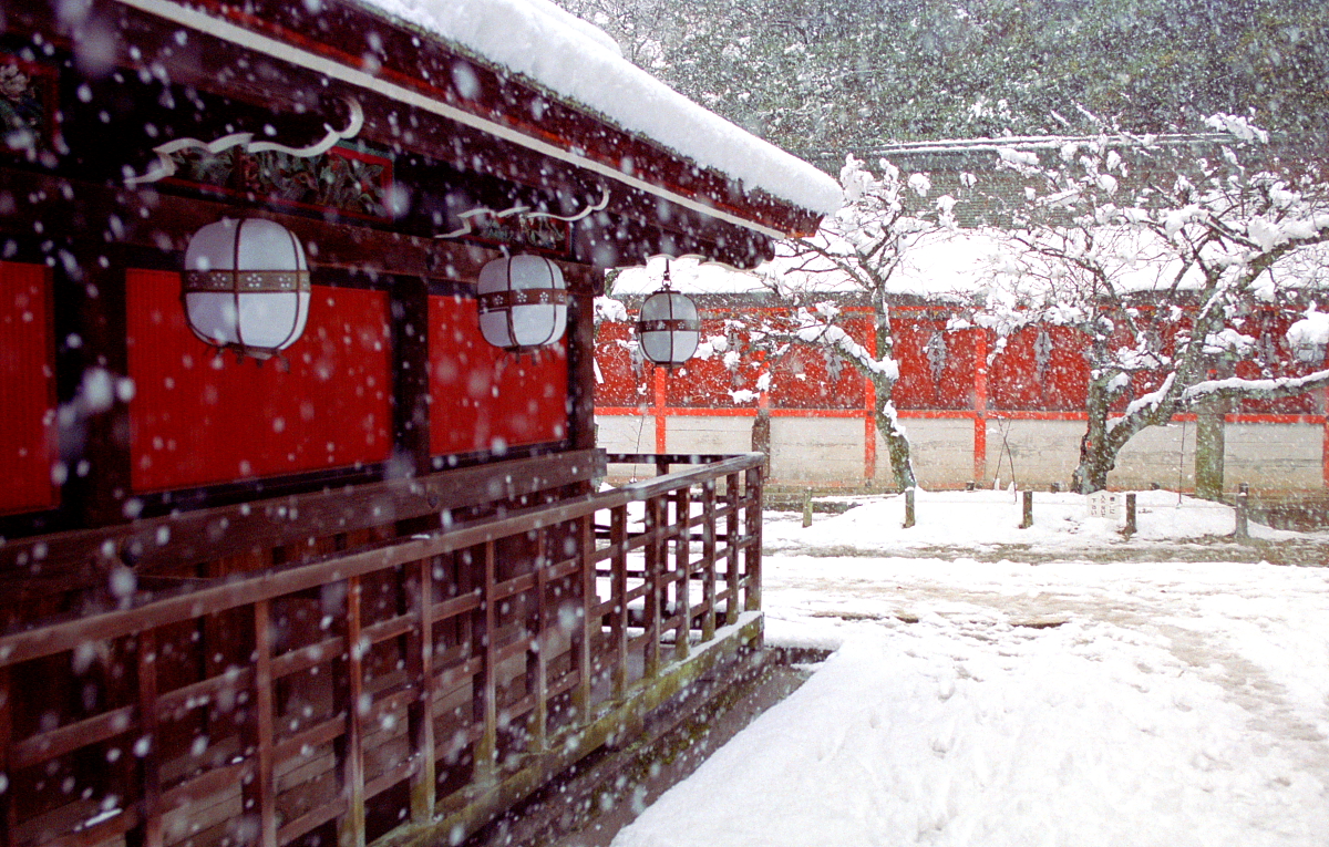 雪化粧