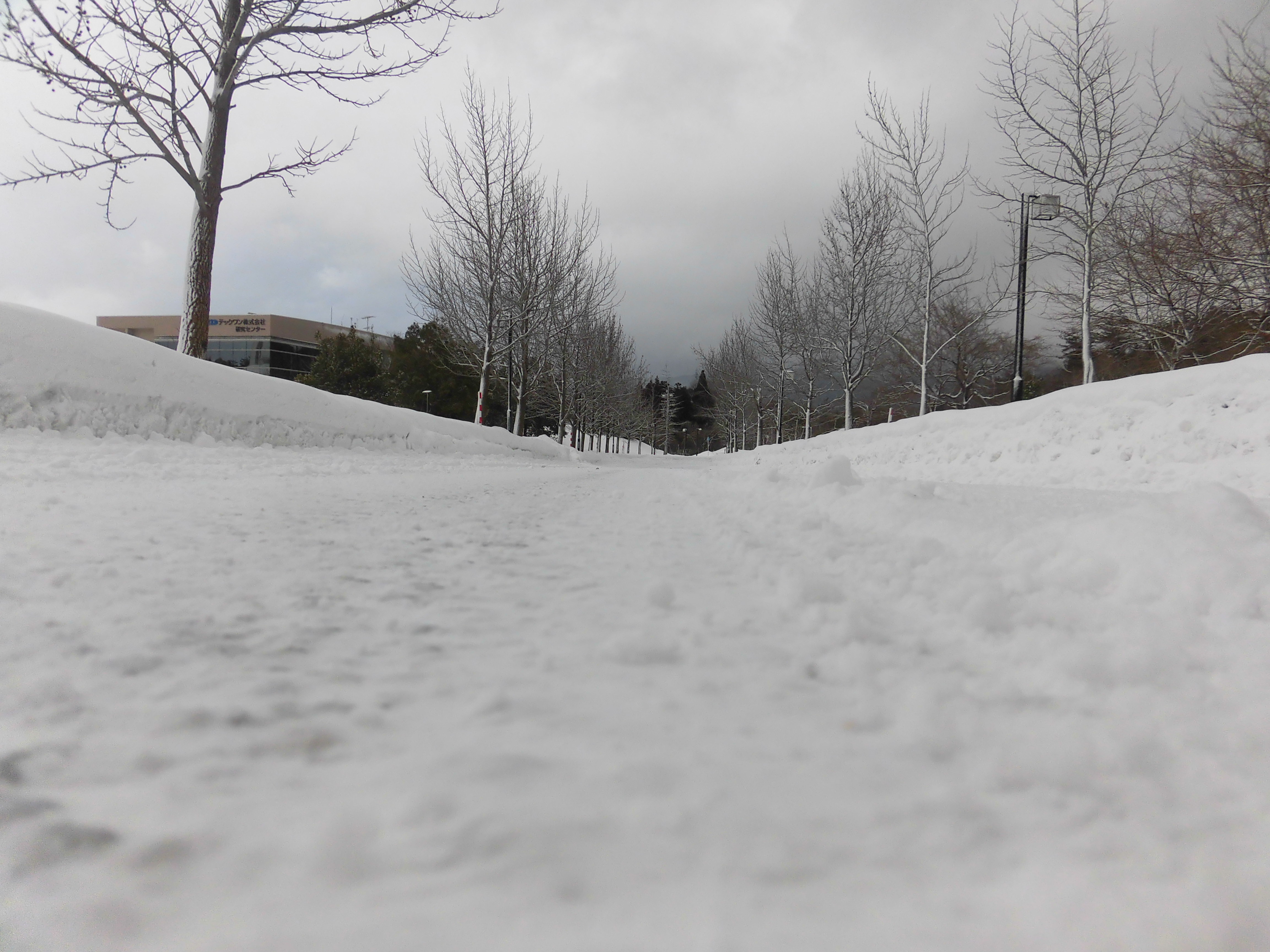 雪道 下から撮る