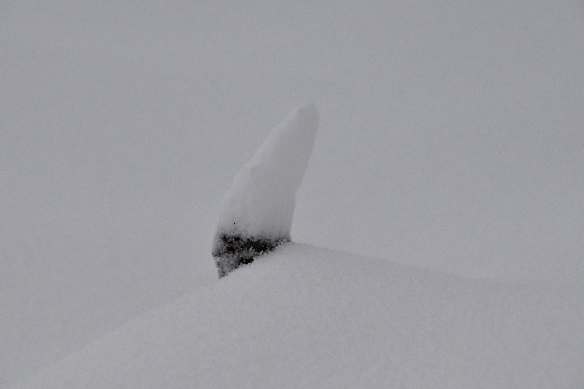 雪帽子
