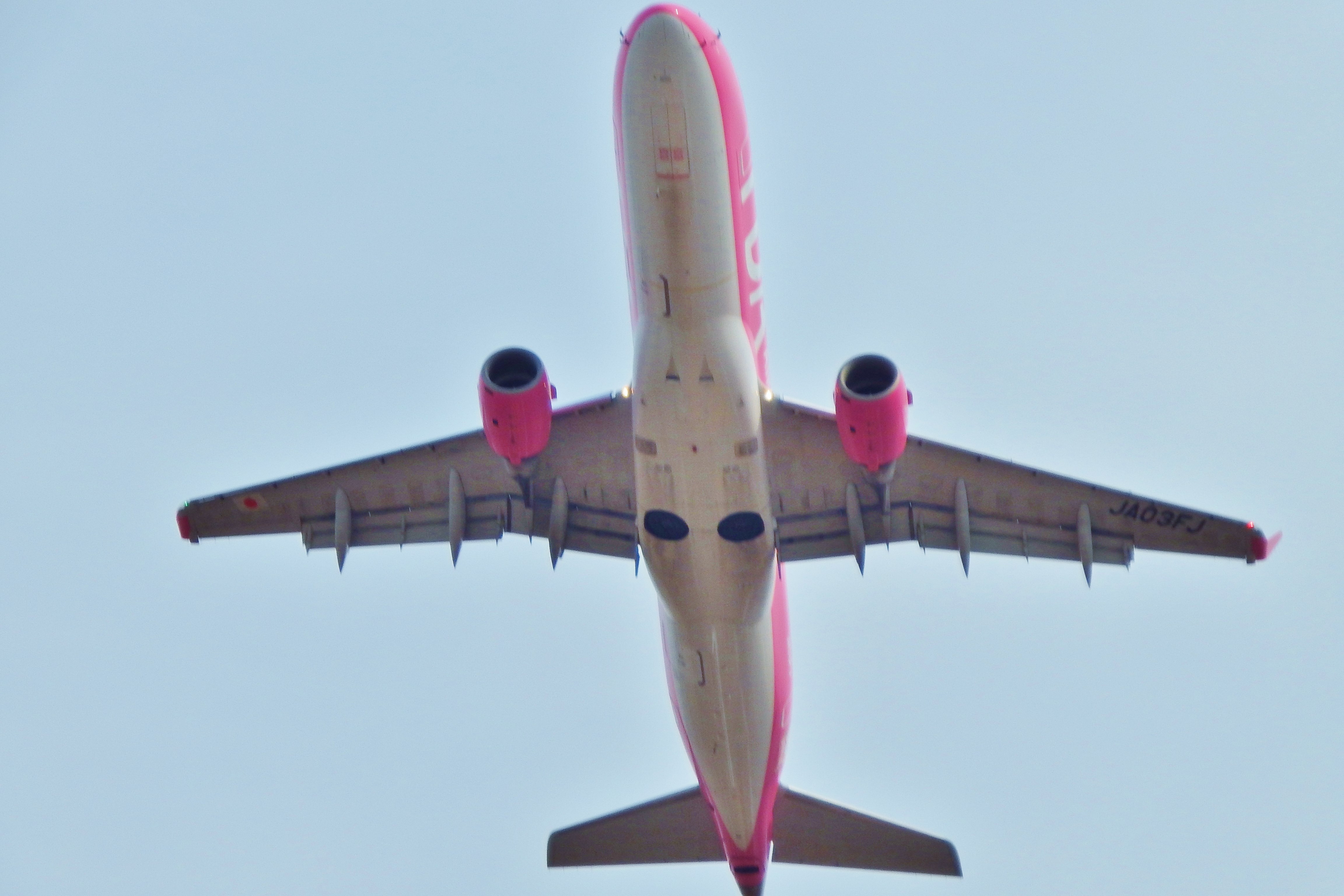 FDA新カラーお目見え