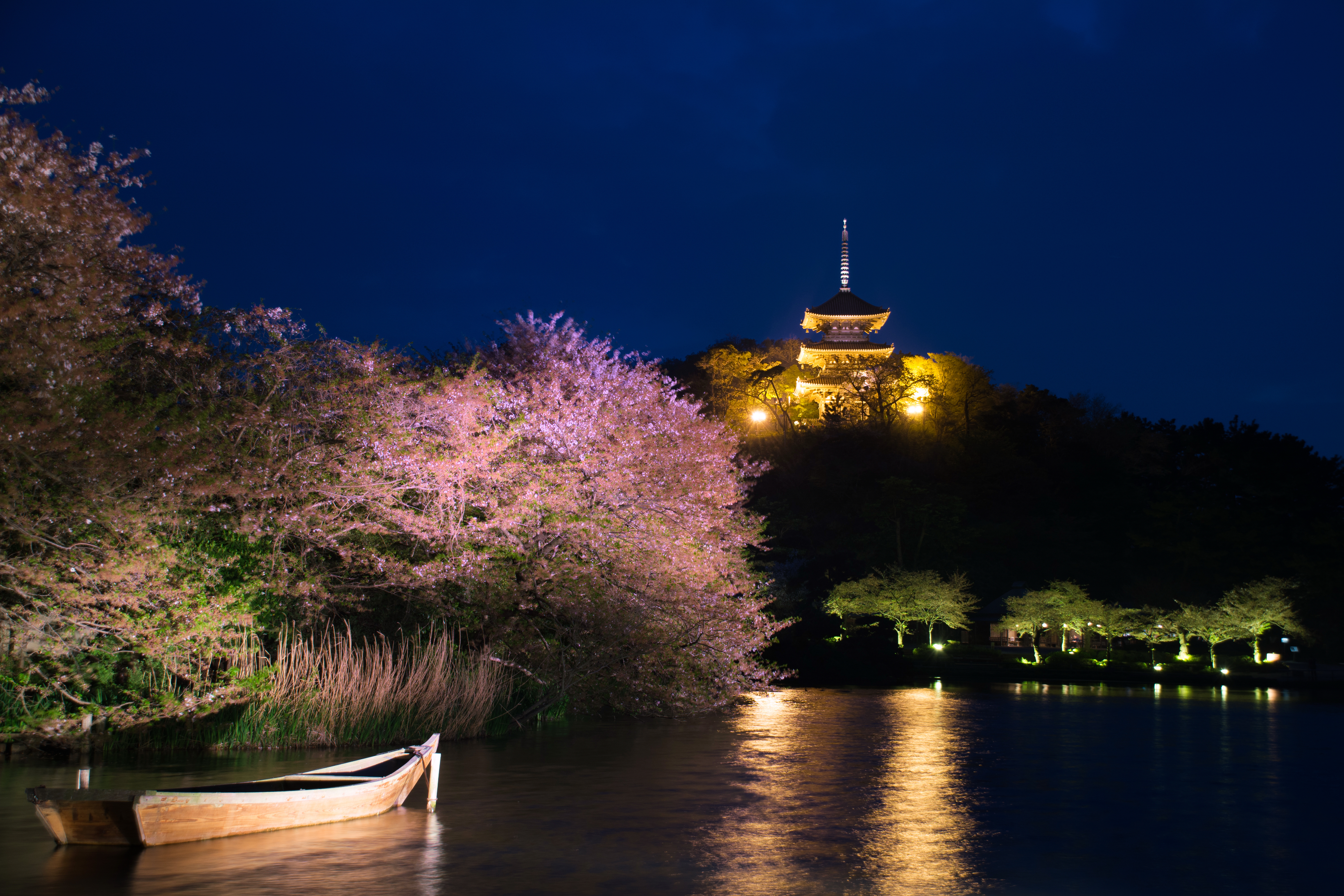 横浜三溪園 2018