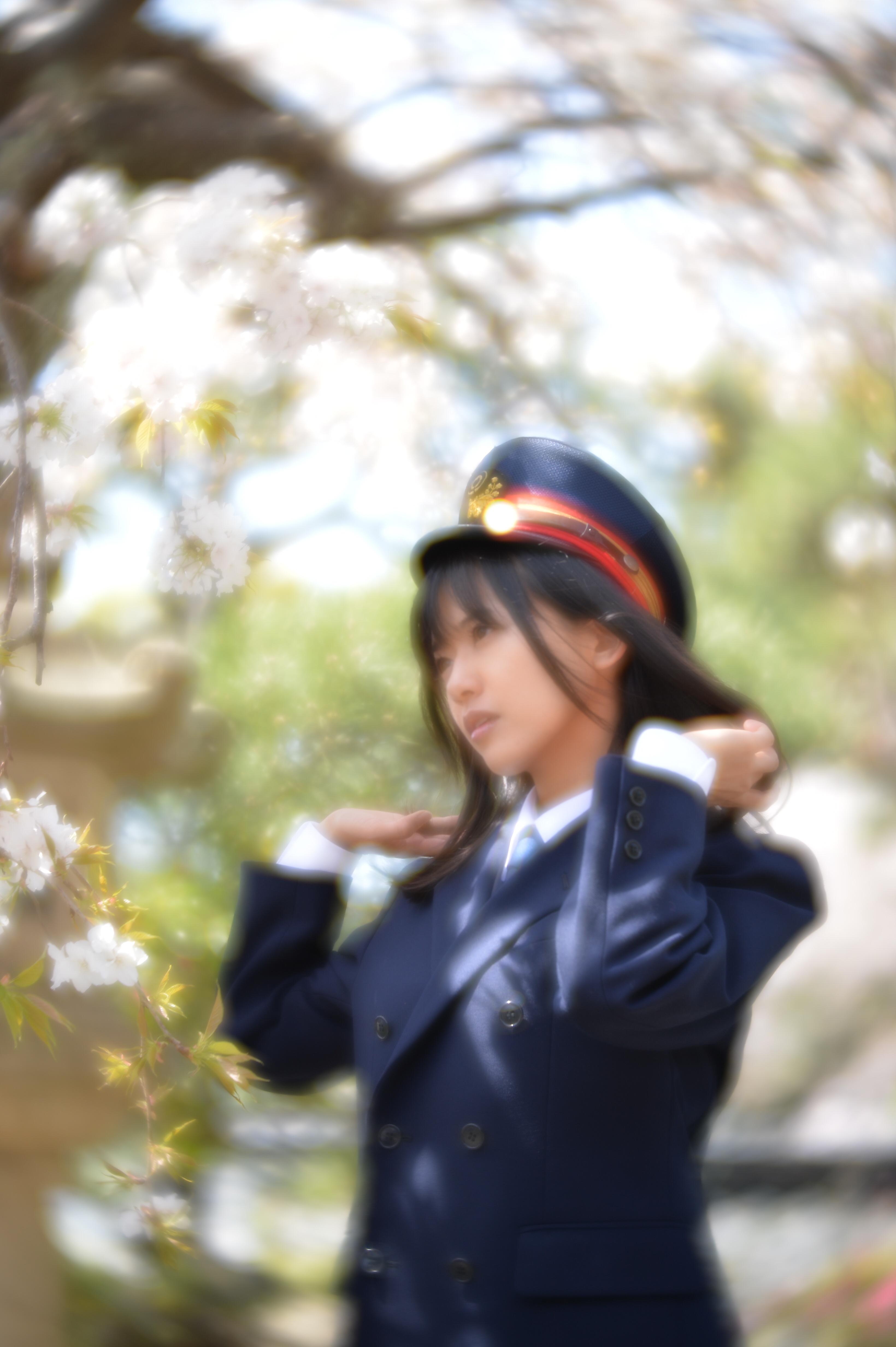 湘南の春
