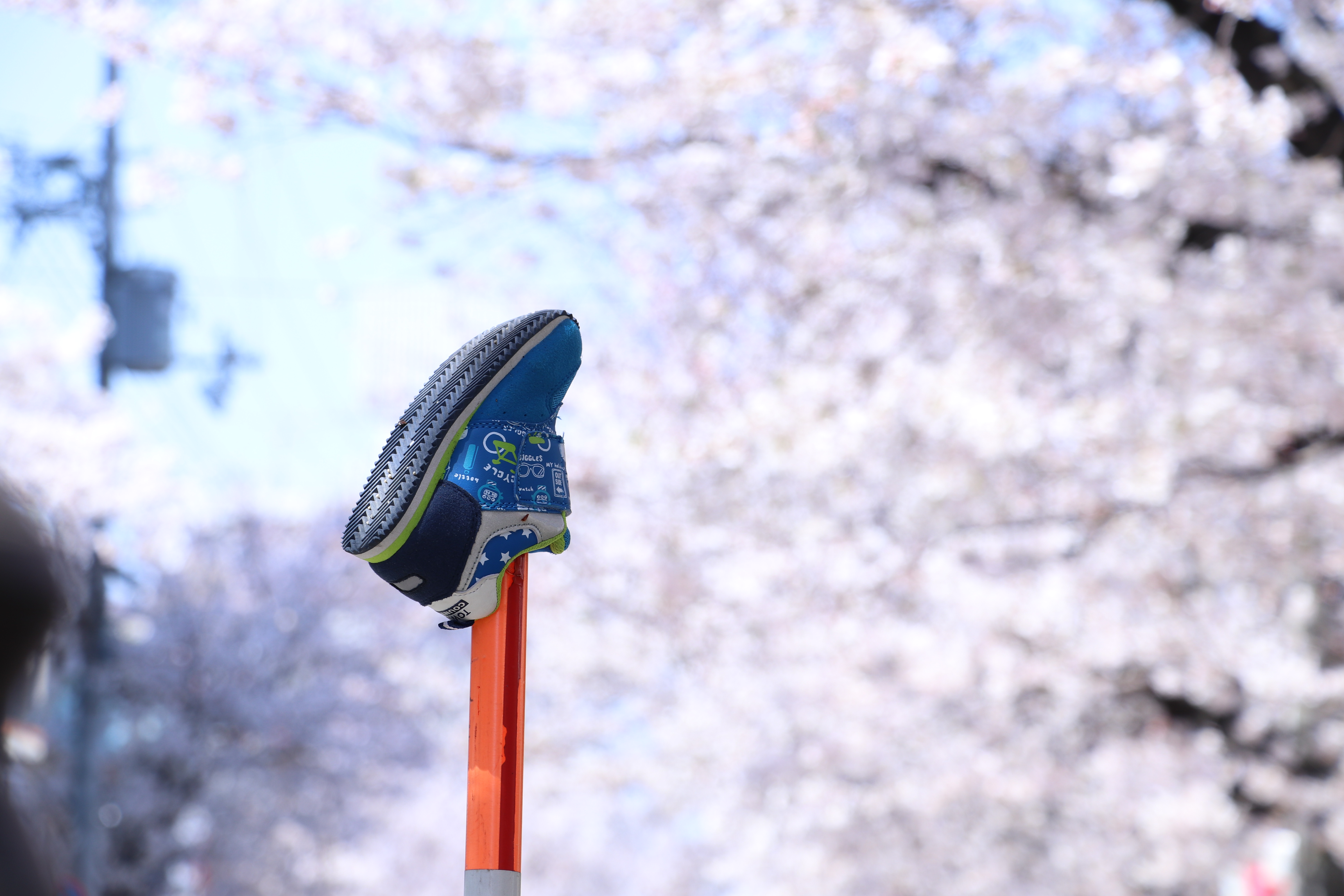 わすれもの