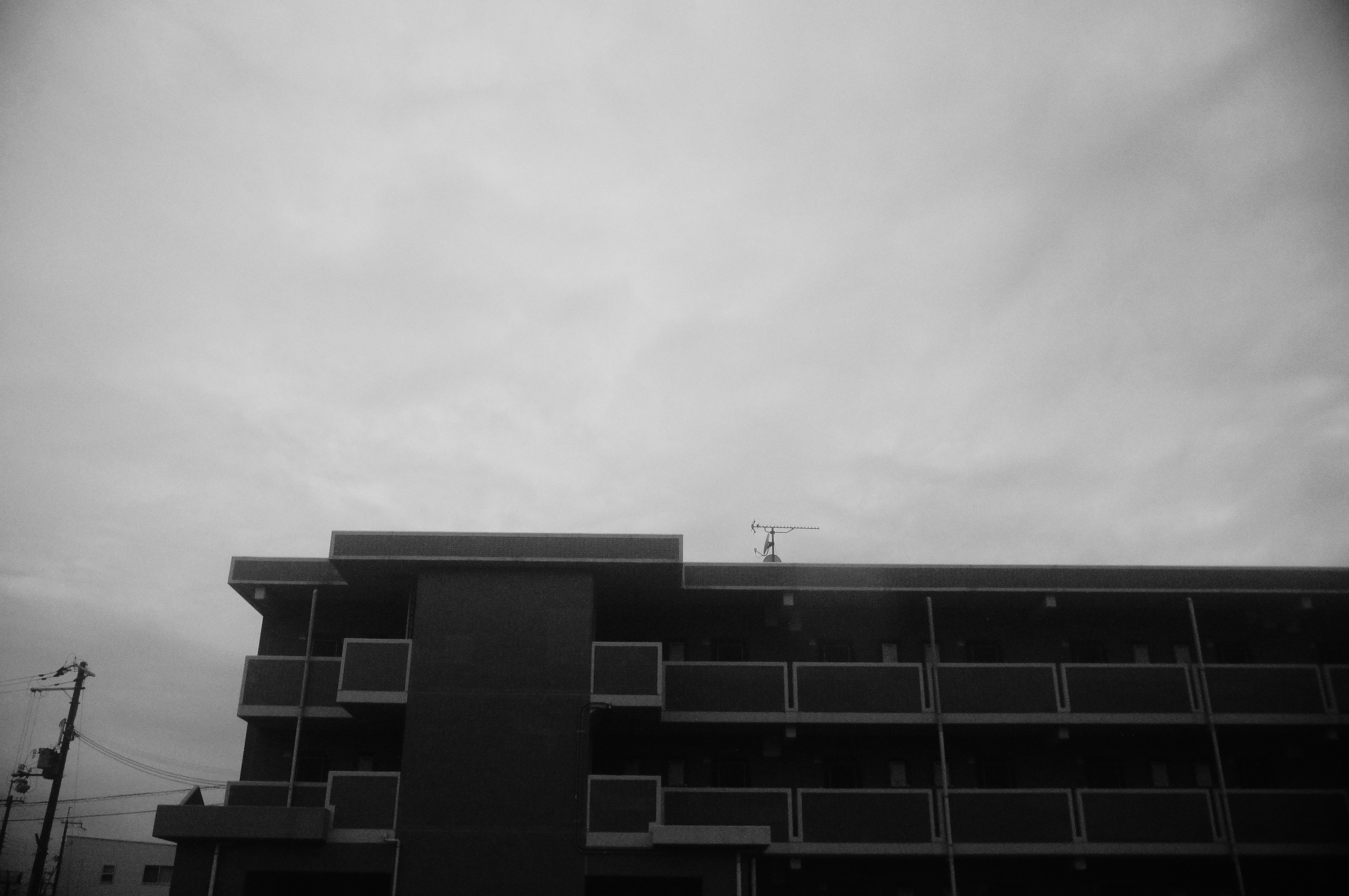 日常 20180415_3