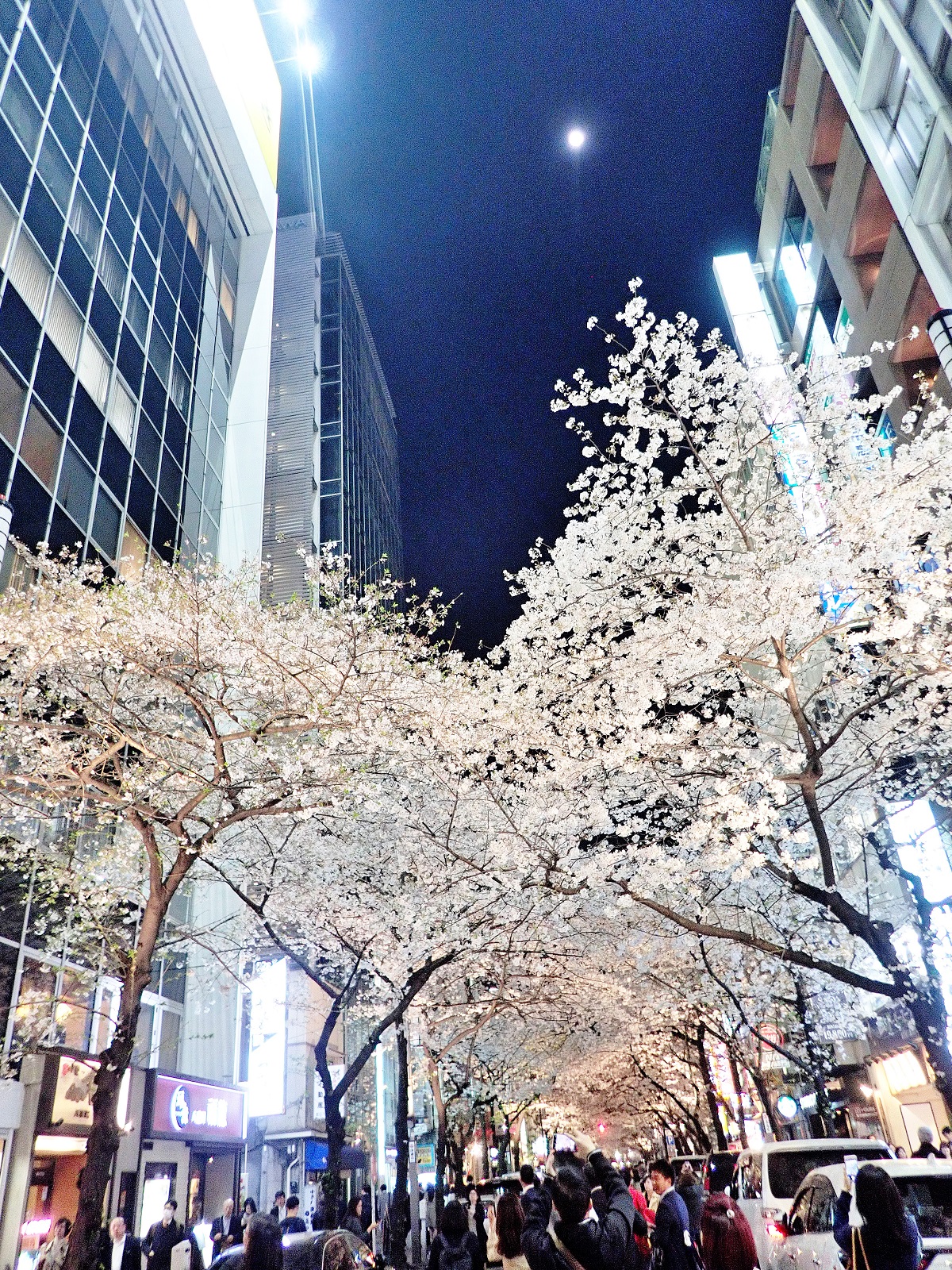 花人街月