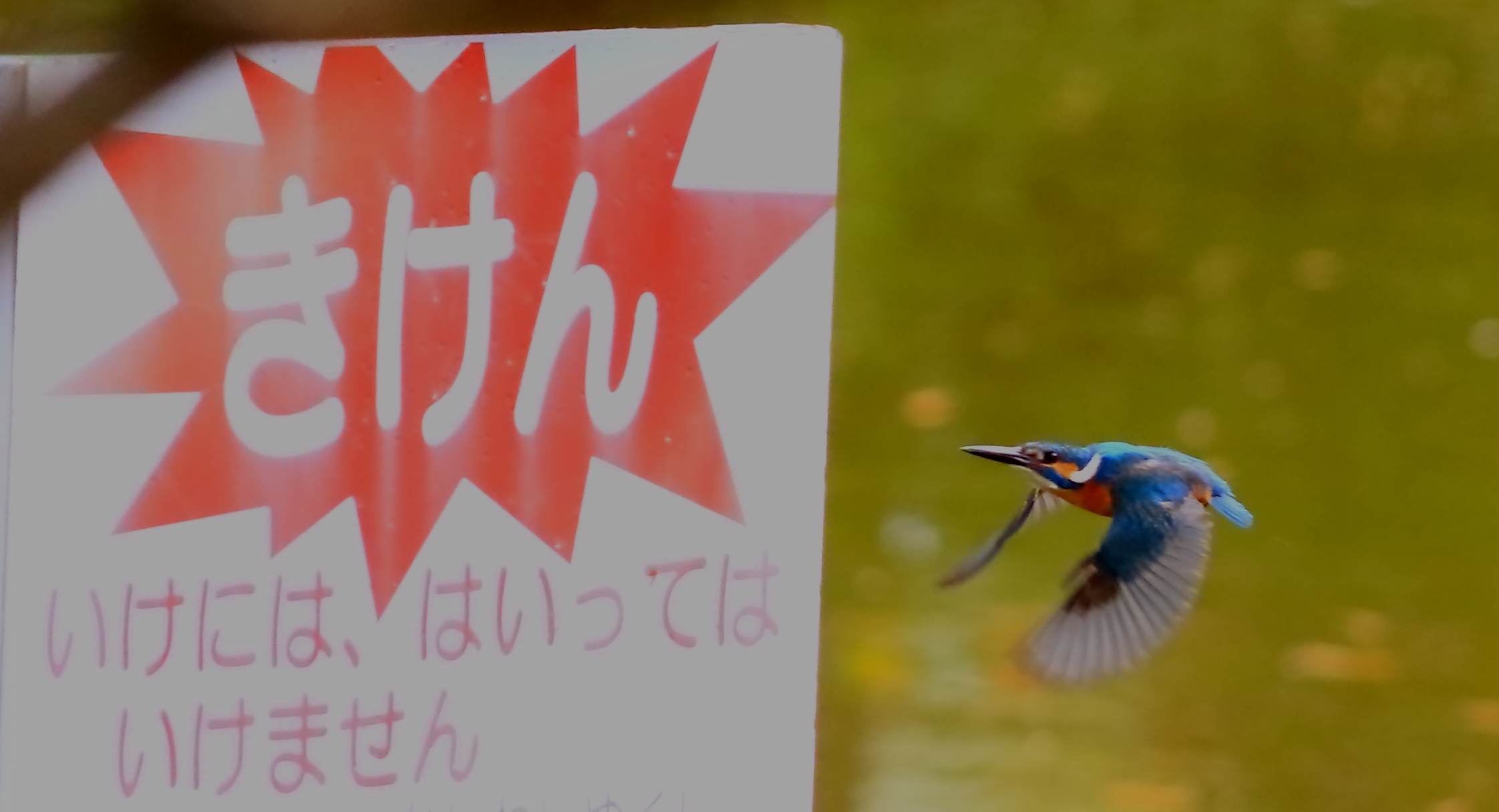 どうにも止まらない♬