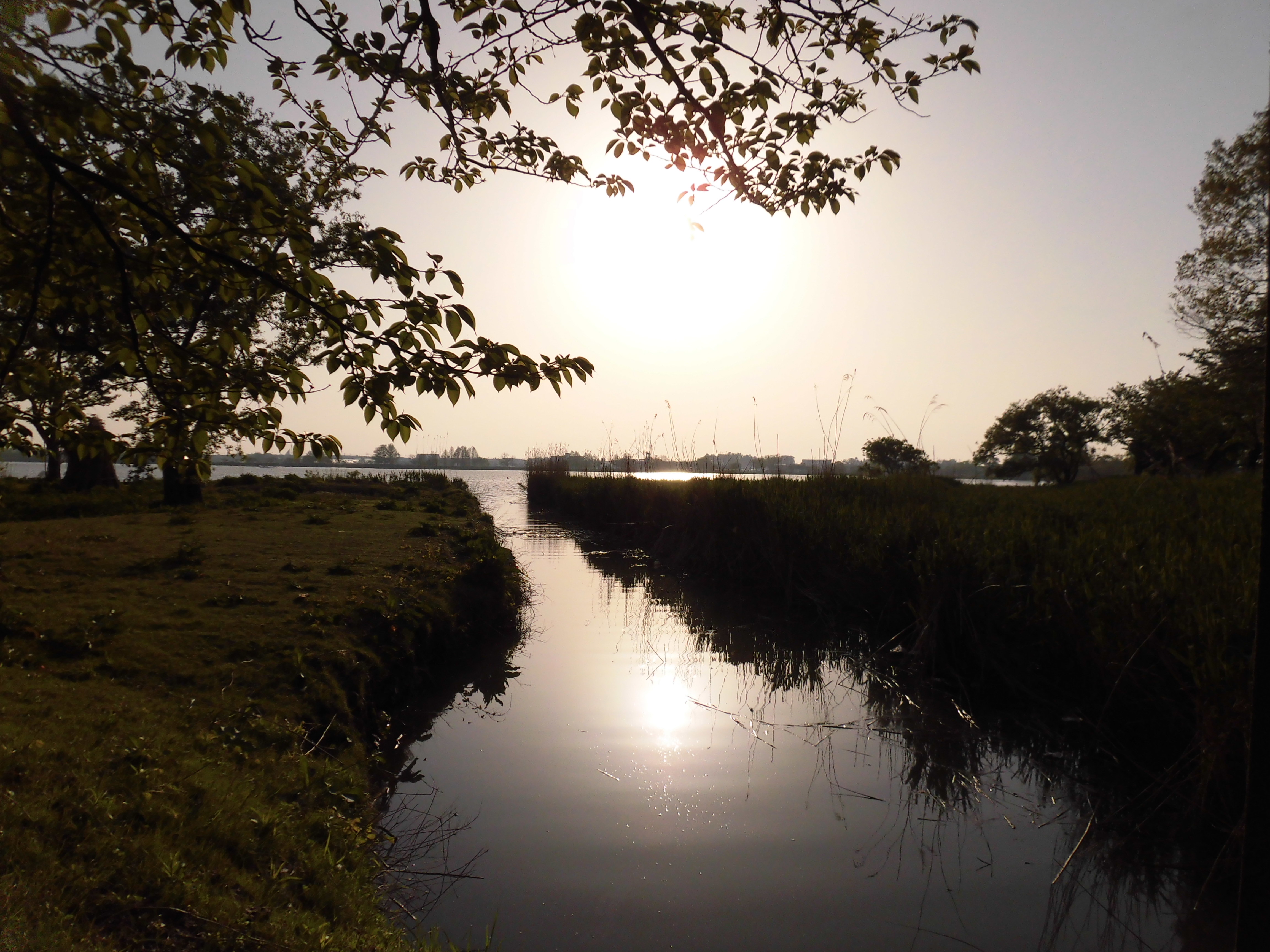 夕日の水鏡