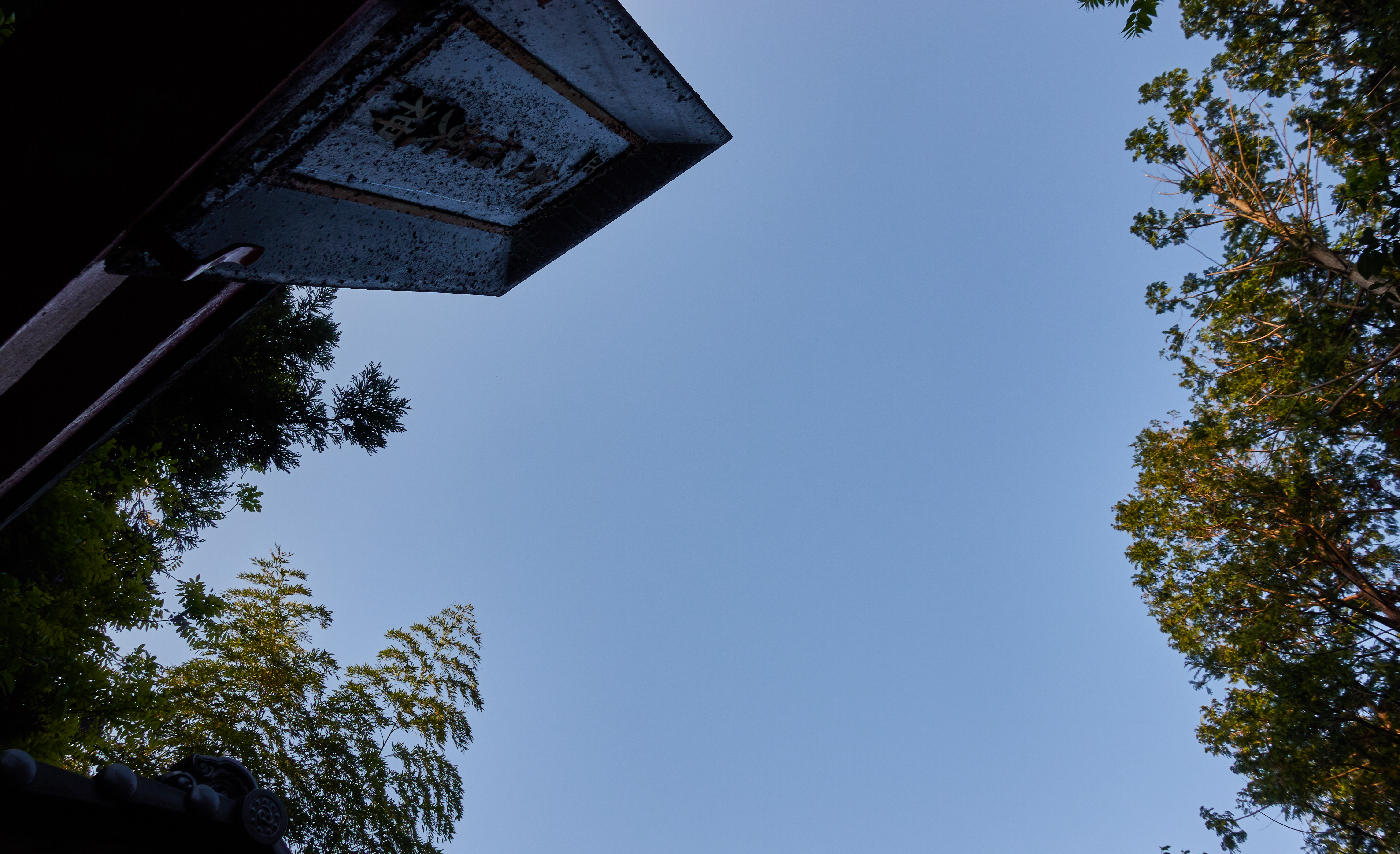 鳥居と木と青空
