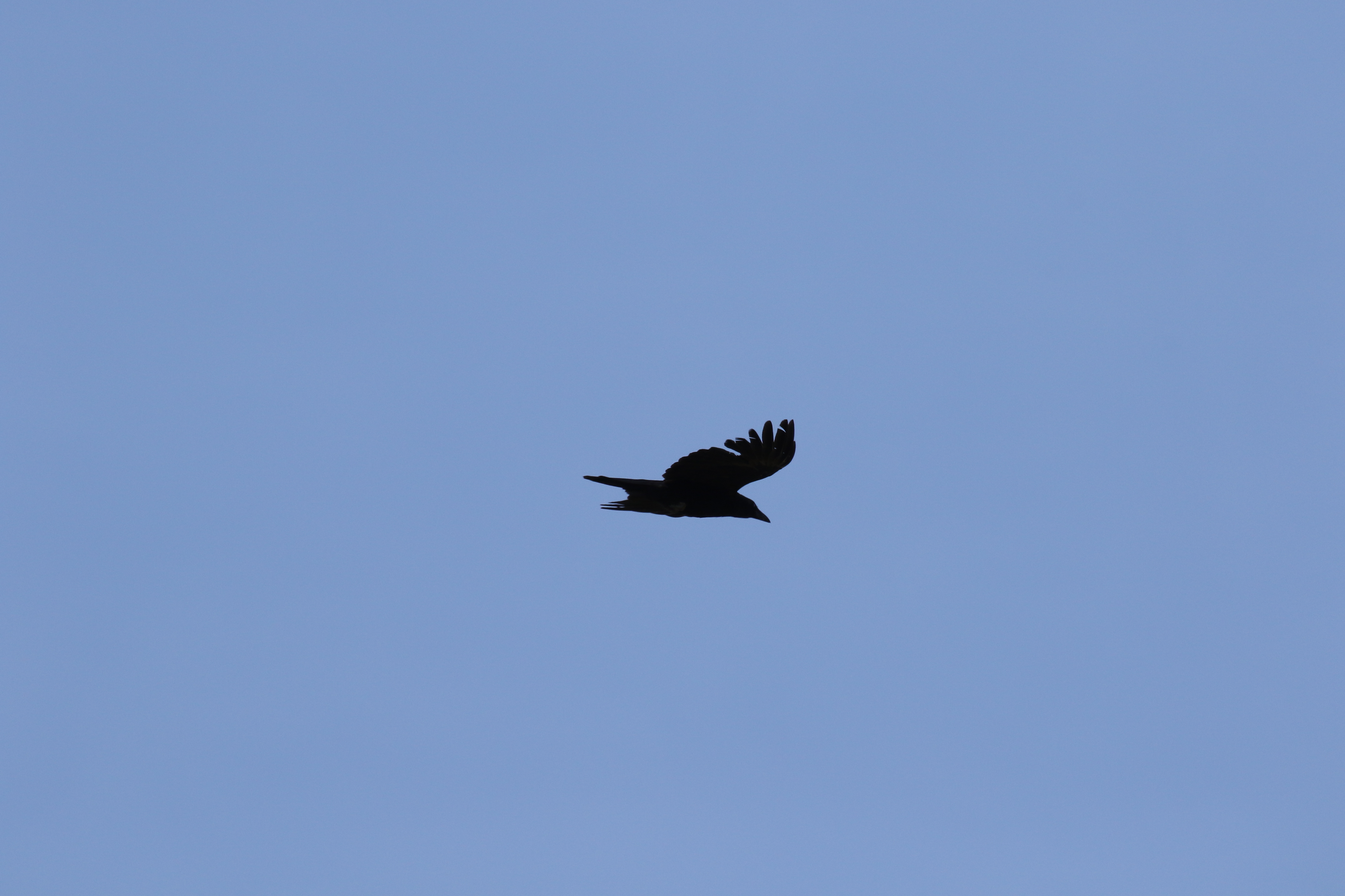 空鏡