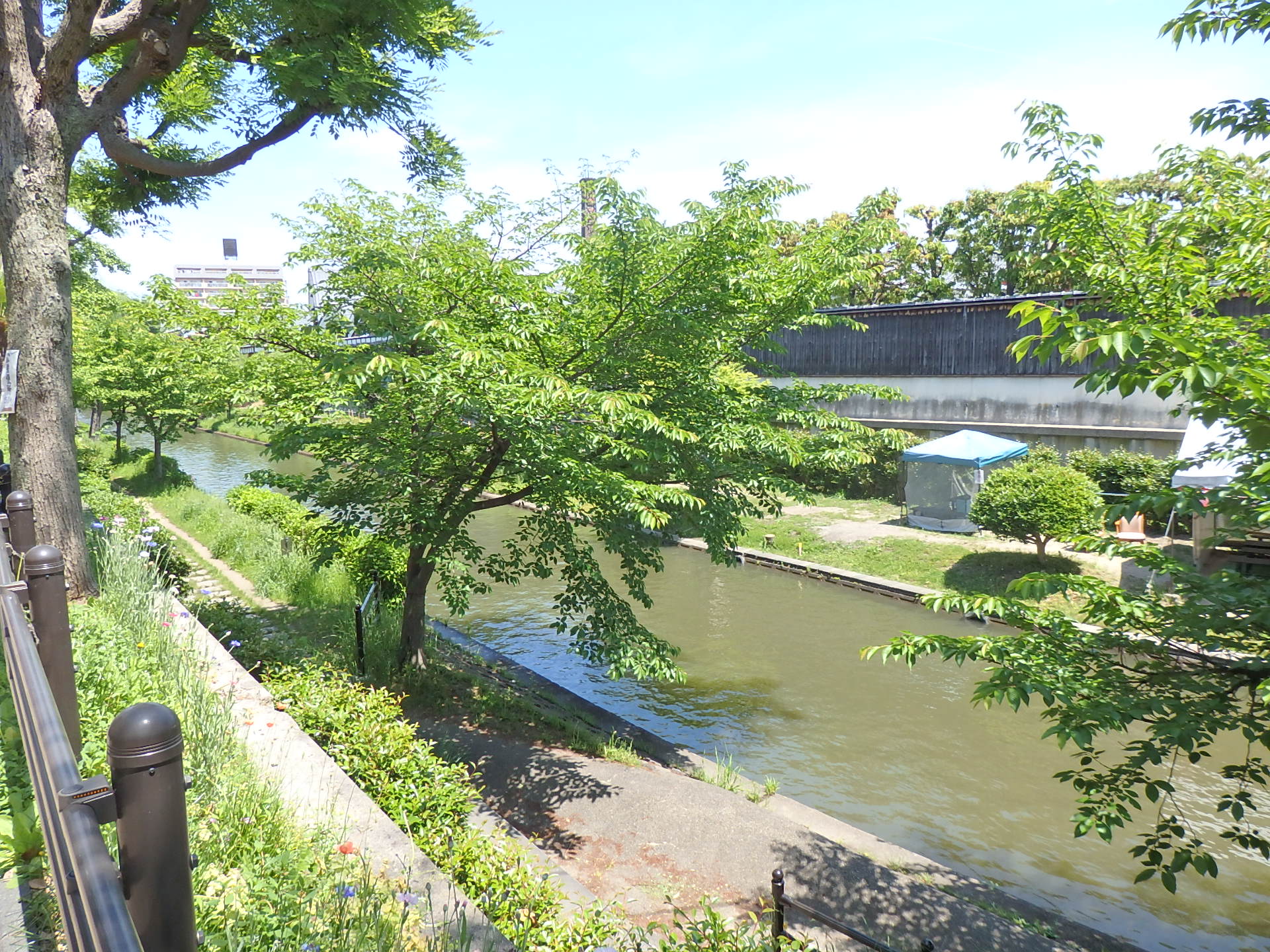 伏見の運河