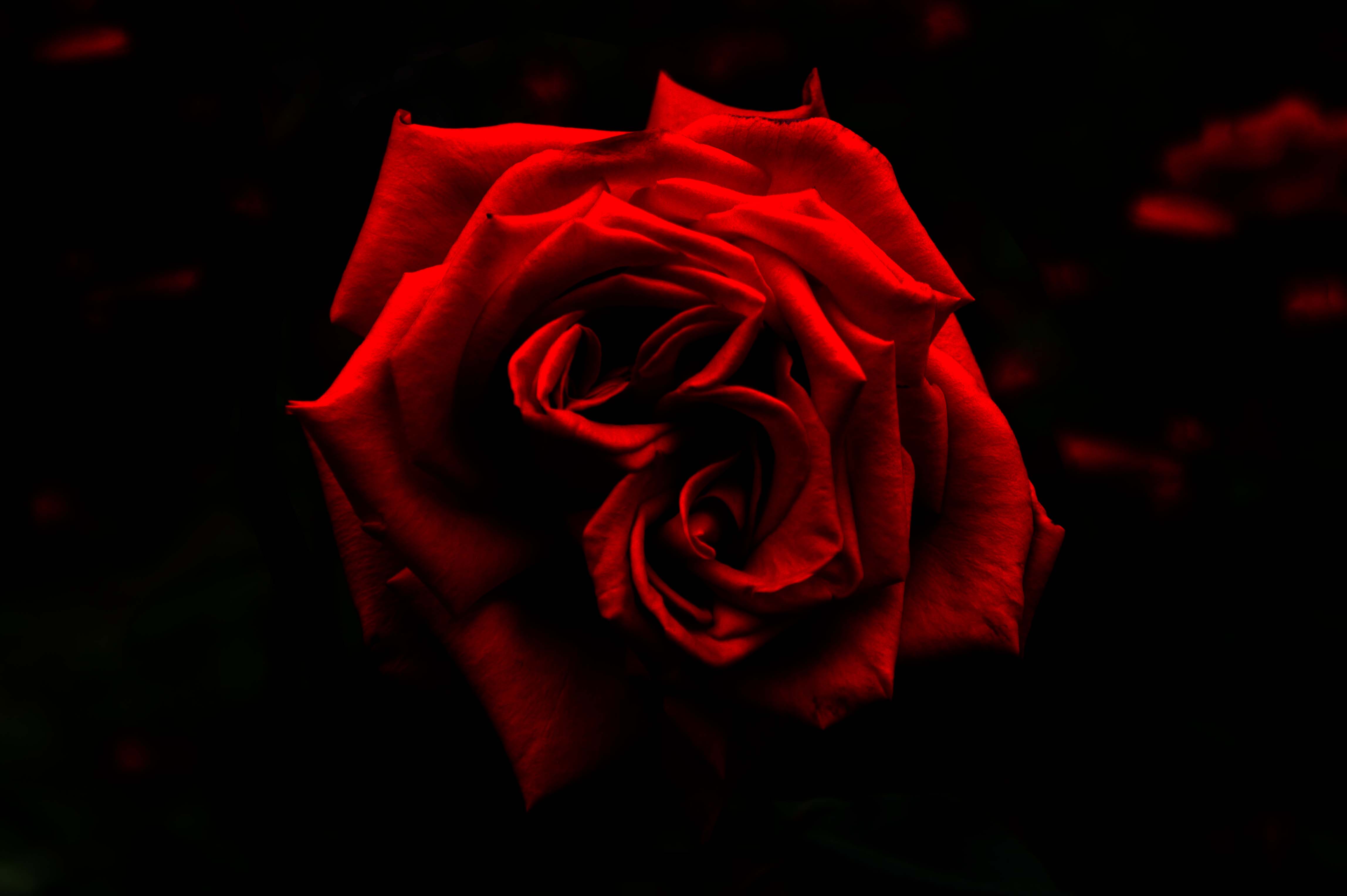 Days of Wine and Roses~Scenery for Wes Montgomery