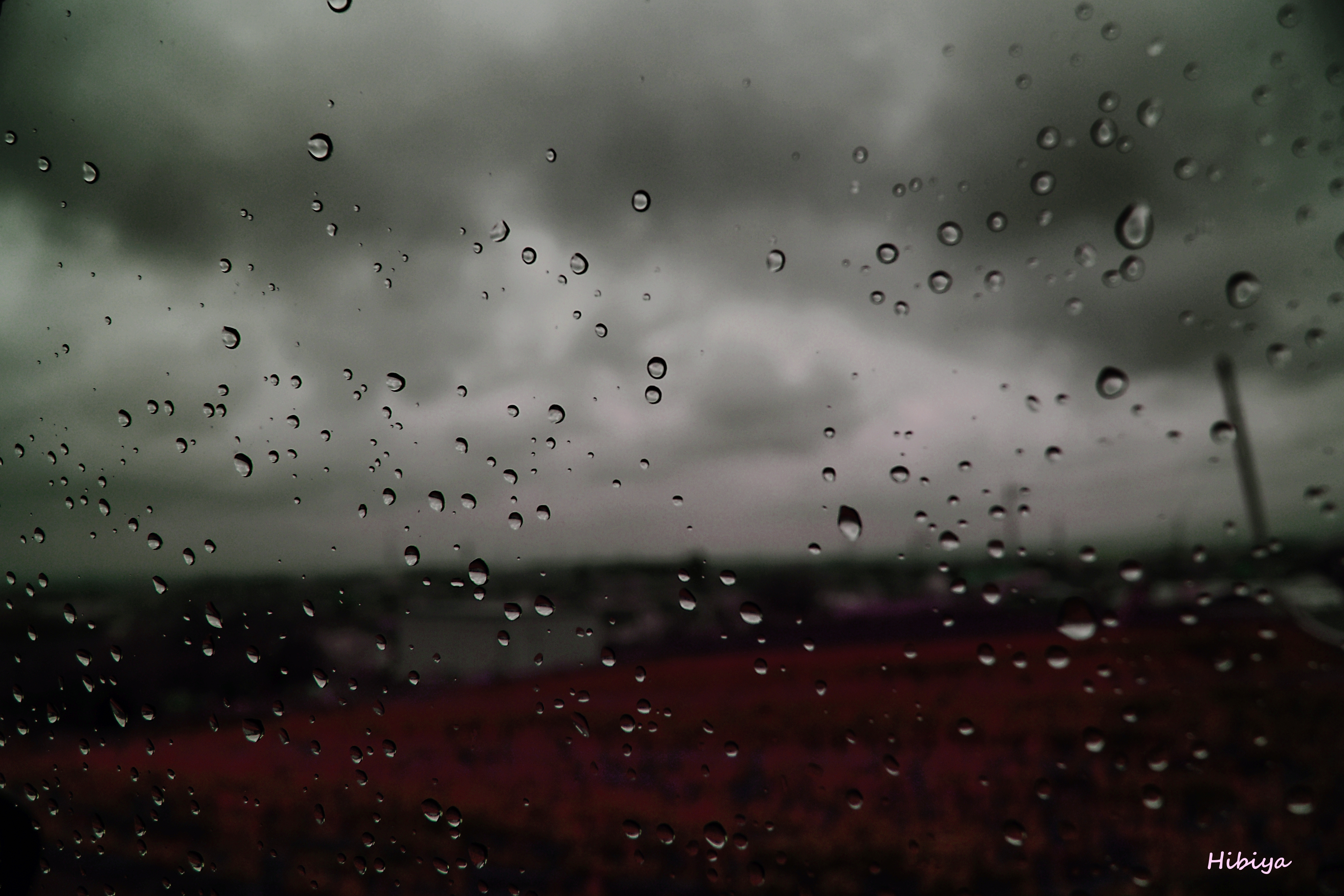 Pulie 雨