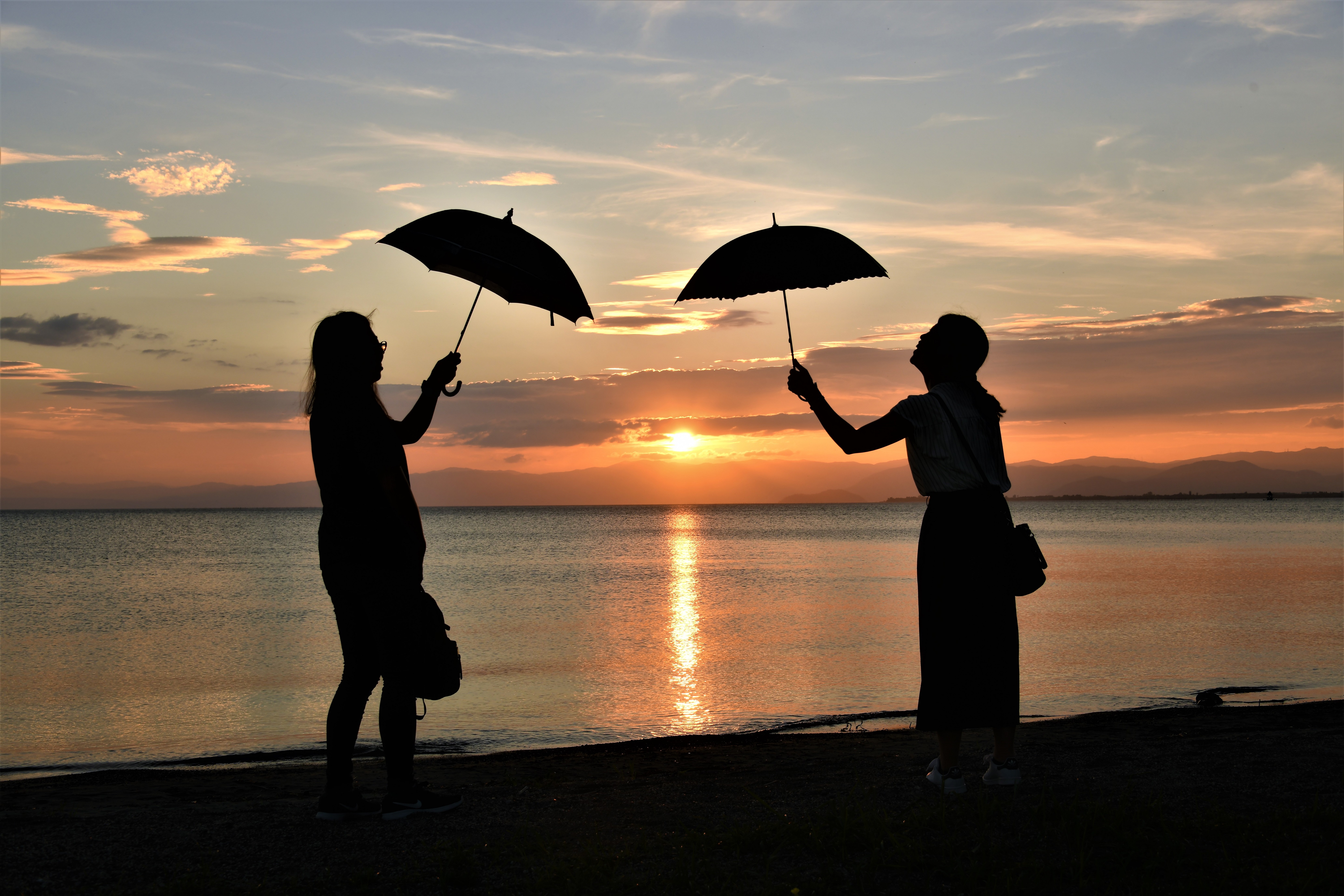 日傘も眩しい夕陽