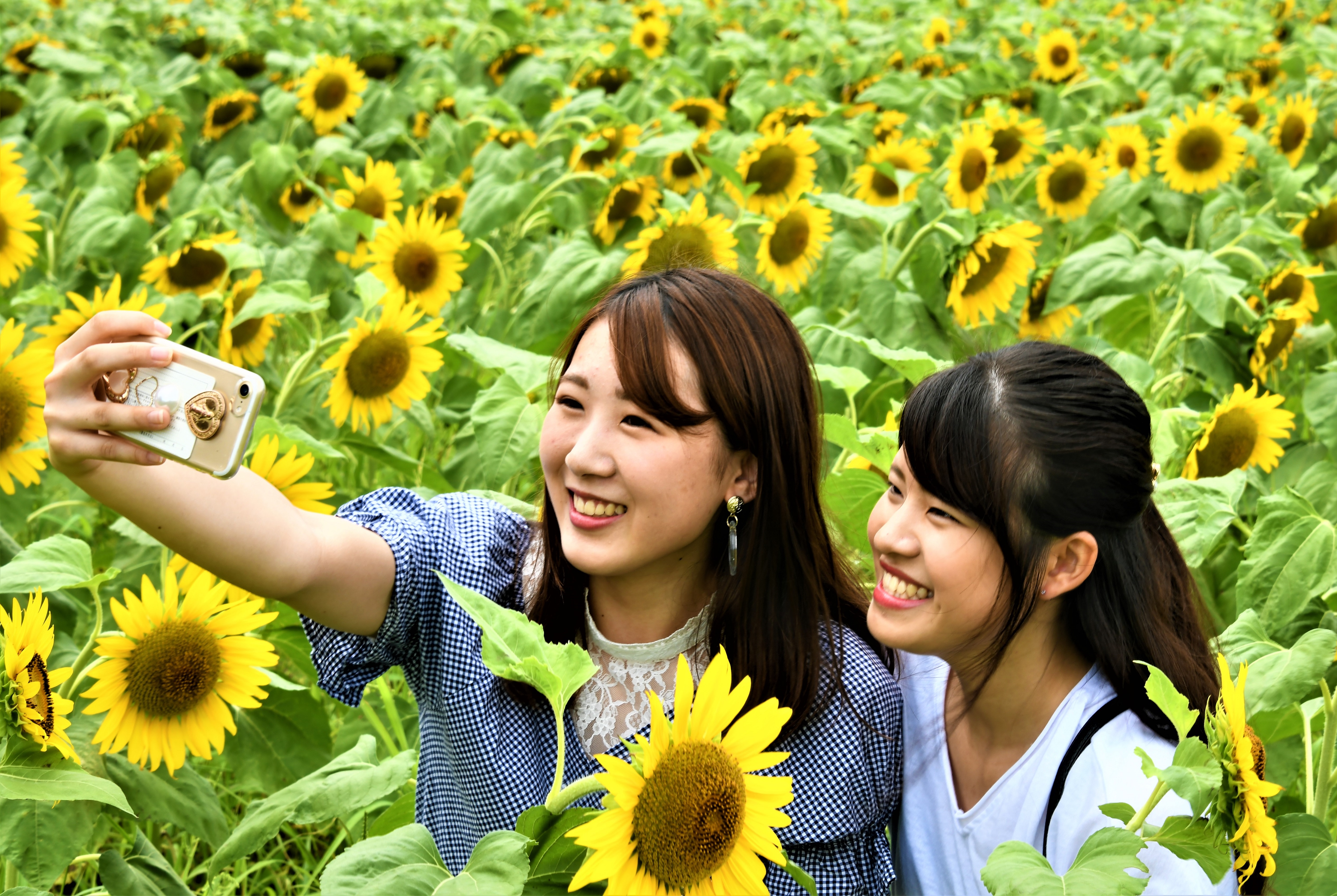 ひまわりより素敵な笑顔!