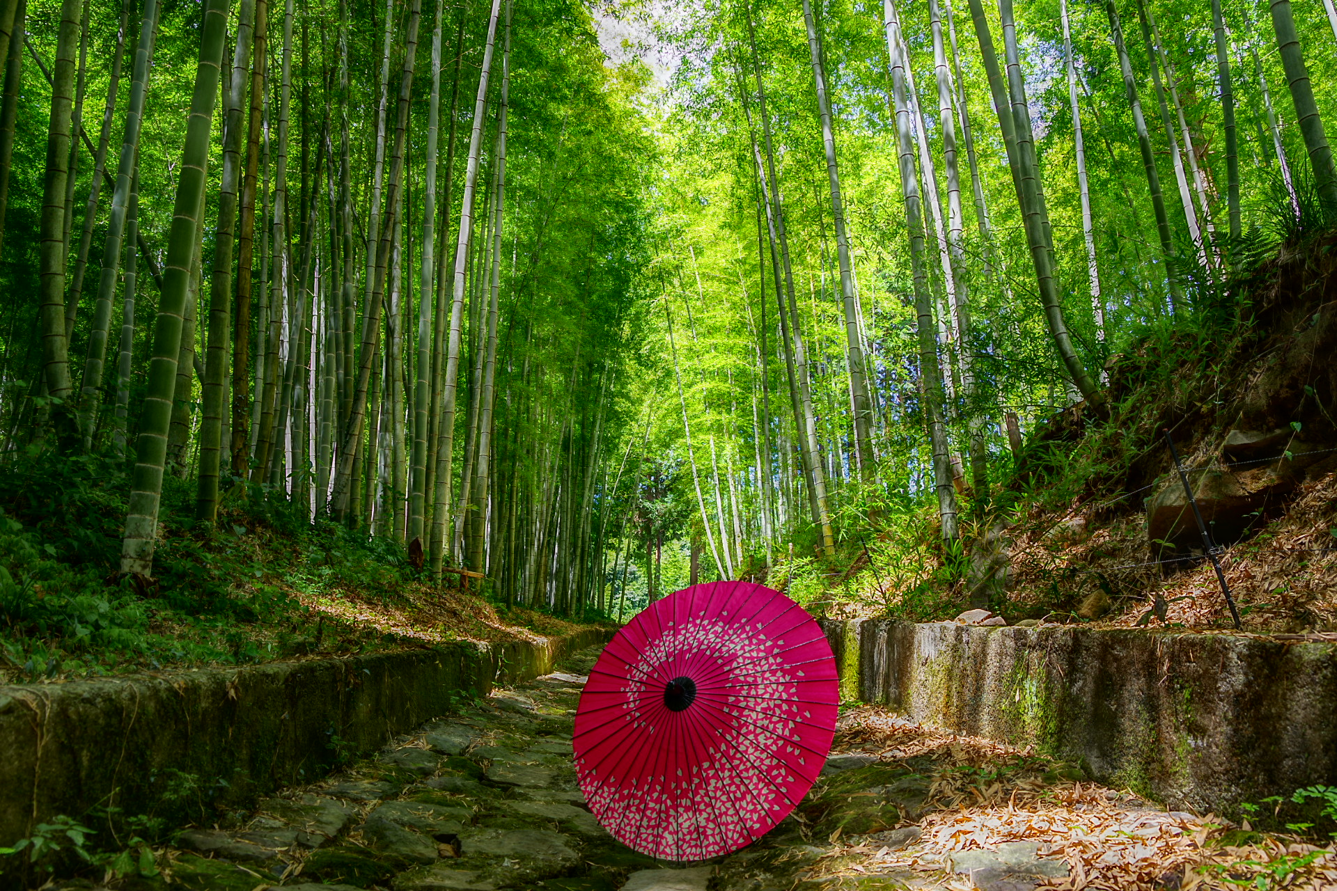 石畳の道