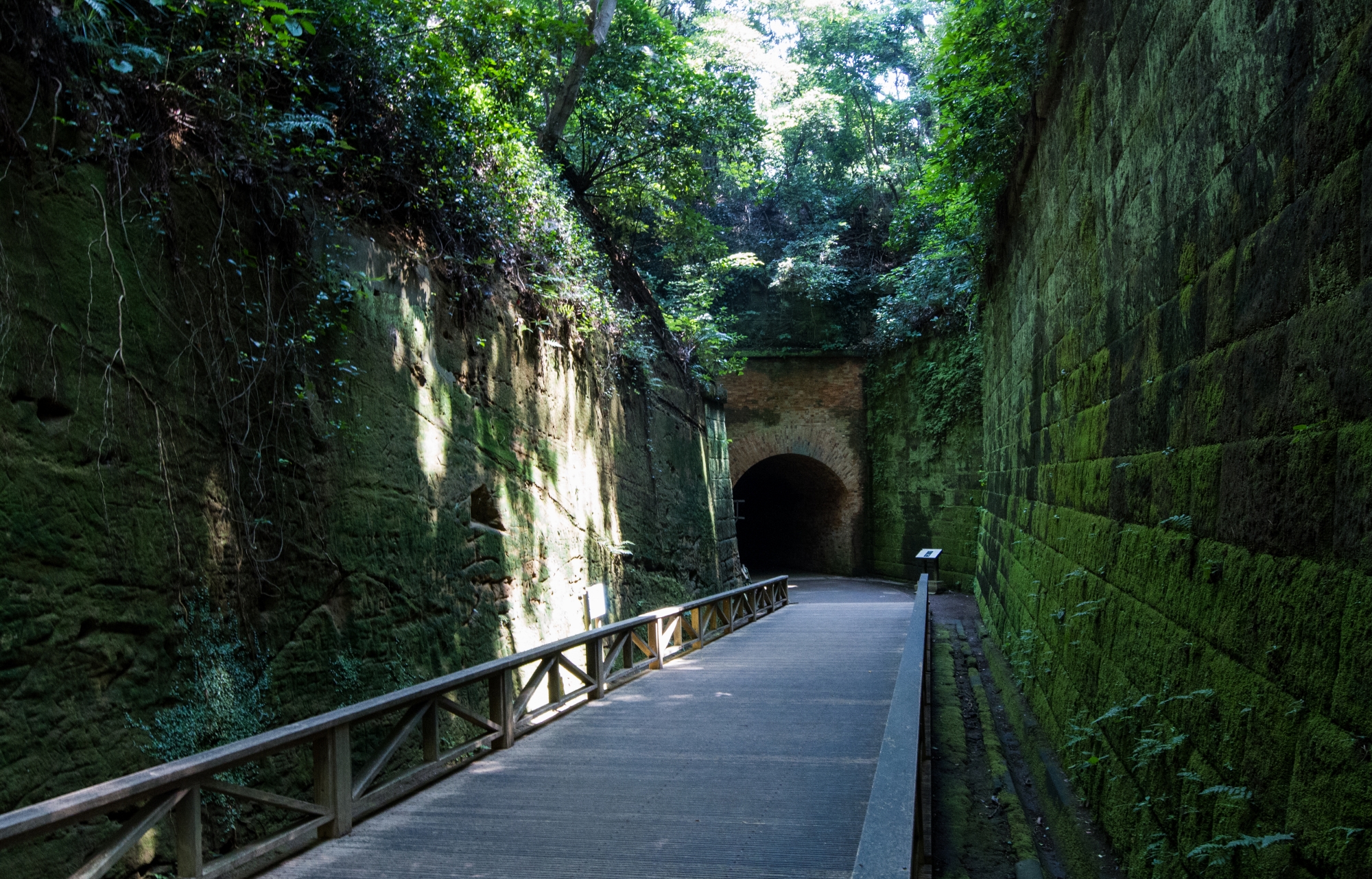 無人島 ③