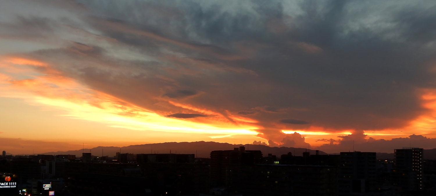 夕照 ②
