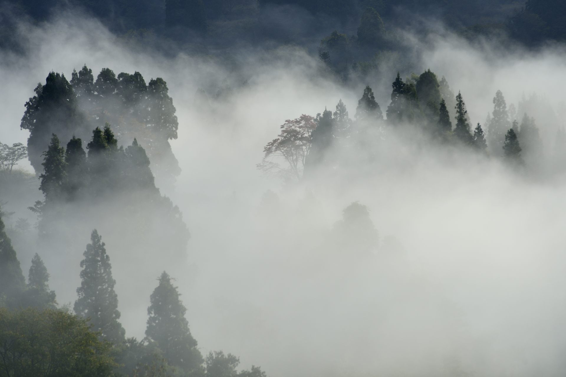 初冬の朝
