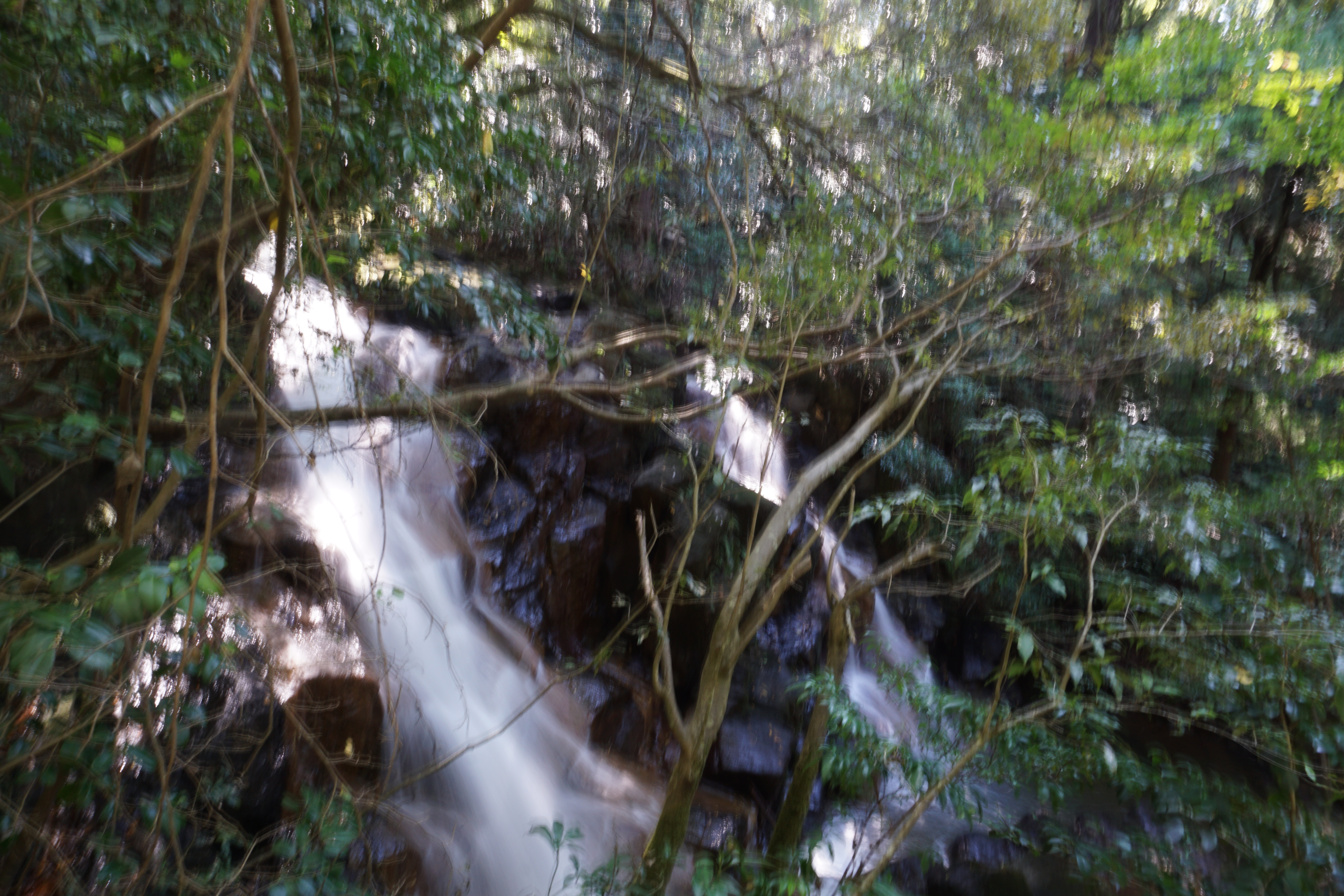 秋風