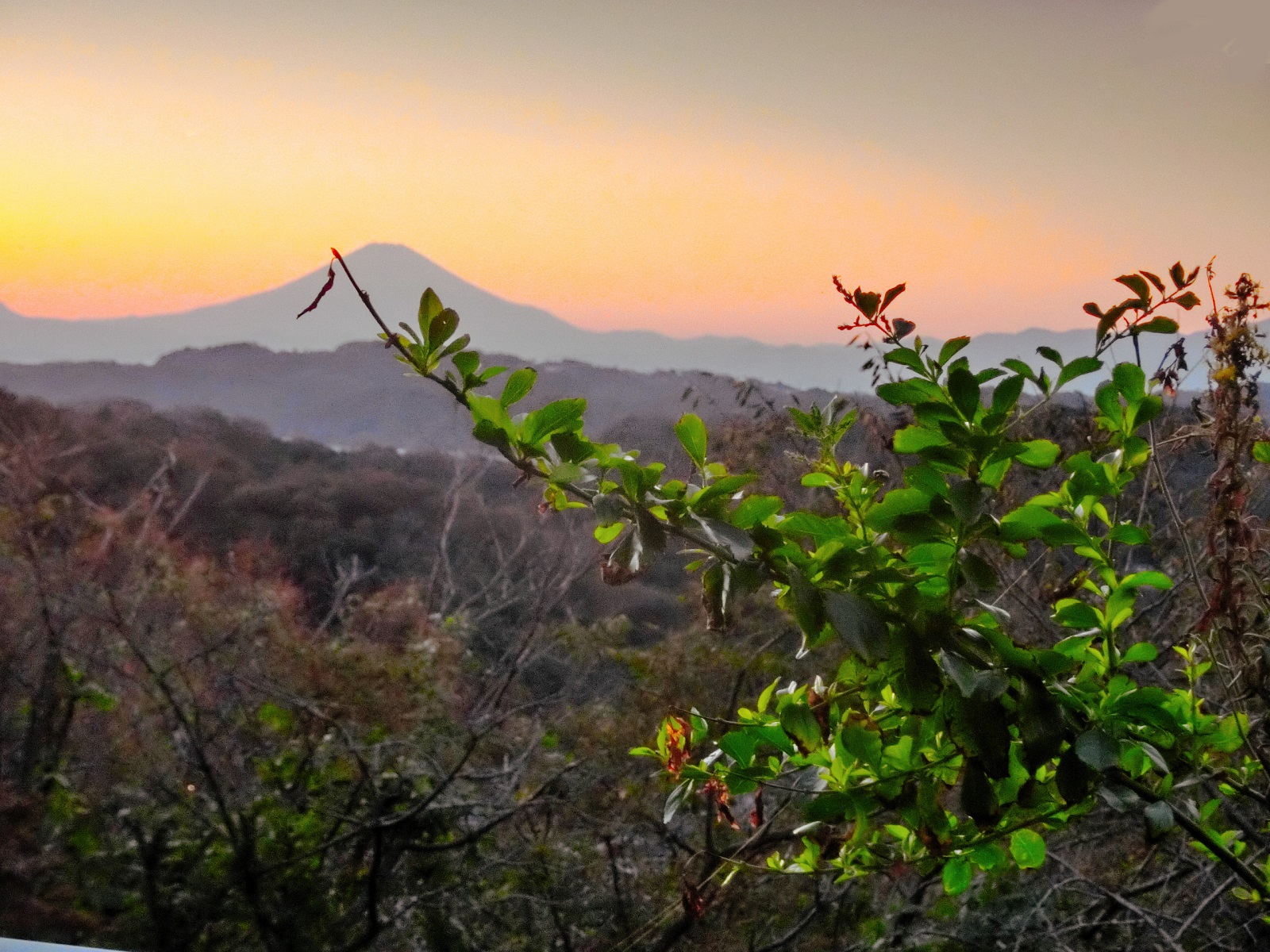晩秋と初秋のある風景