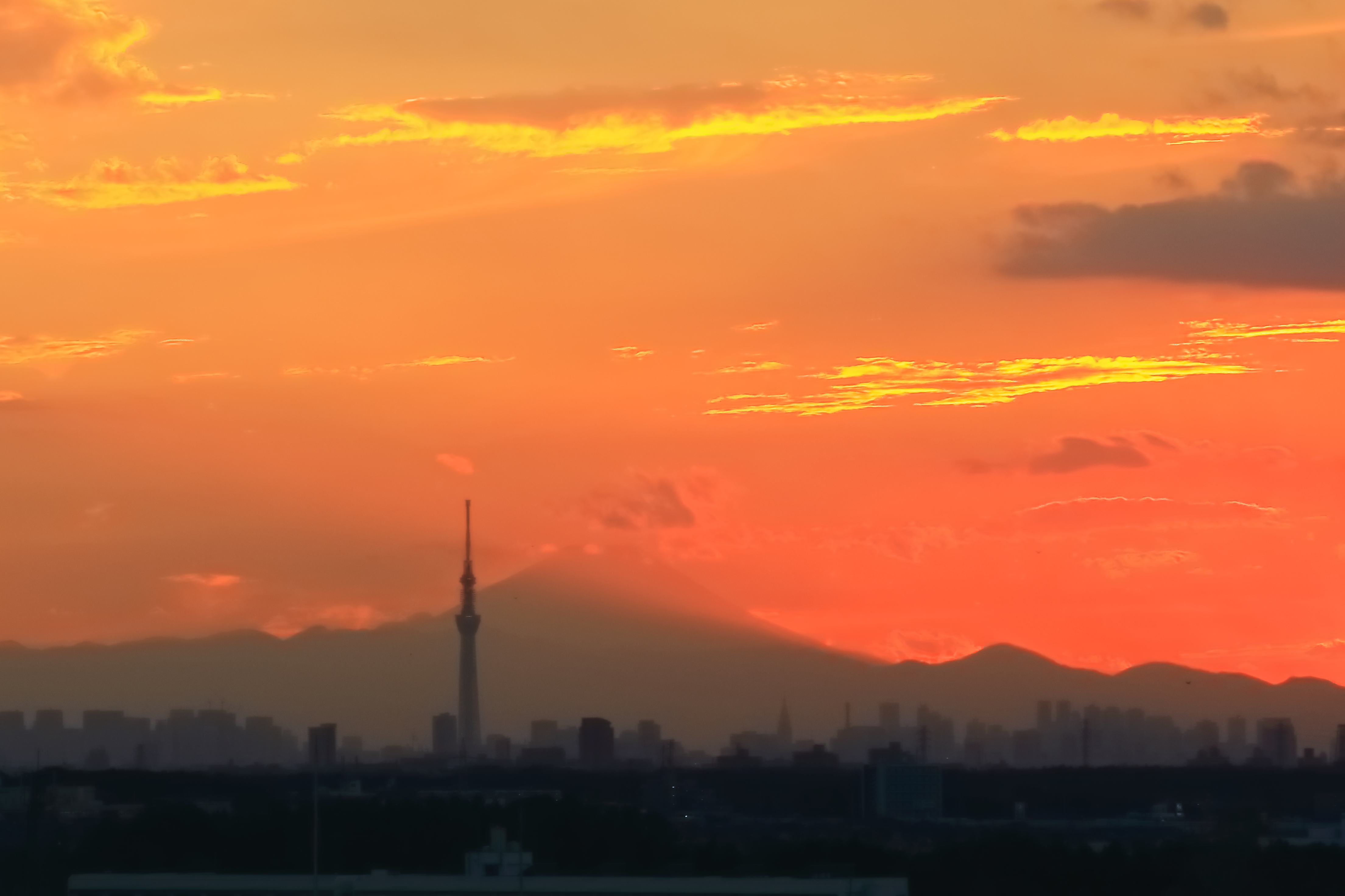 サンセット