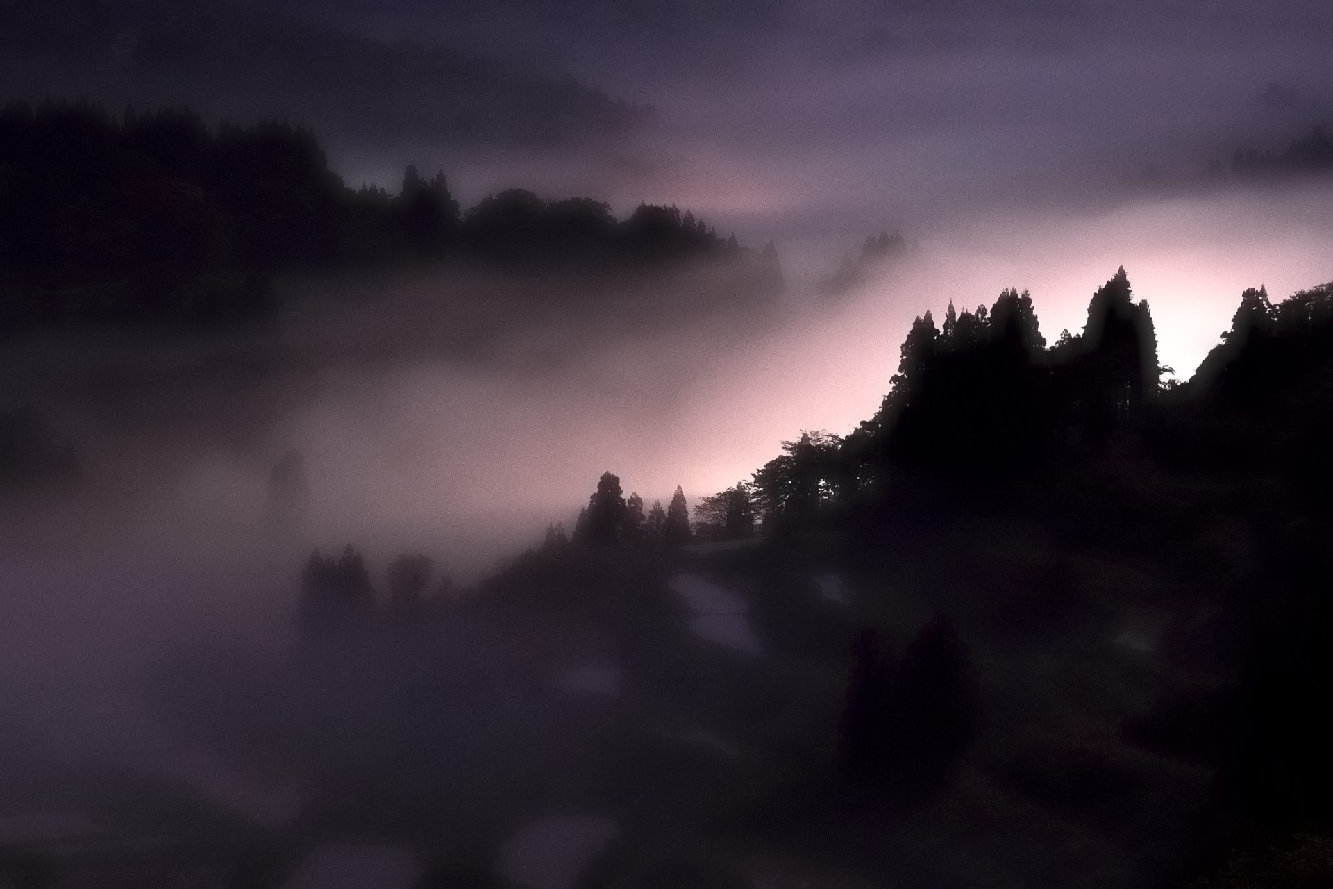 夜霧のヘッドライト