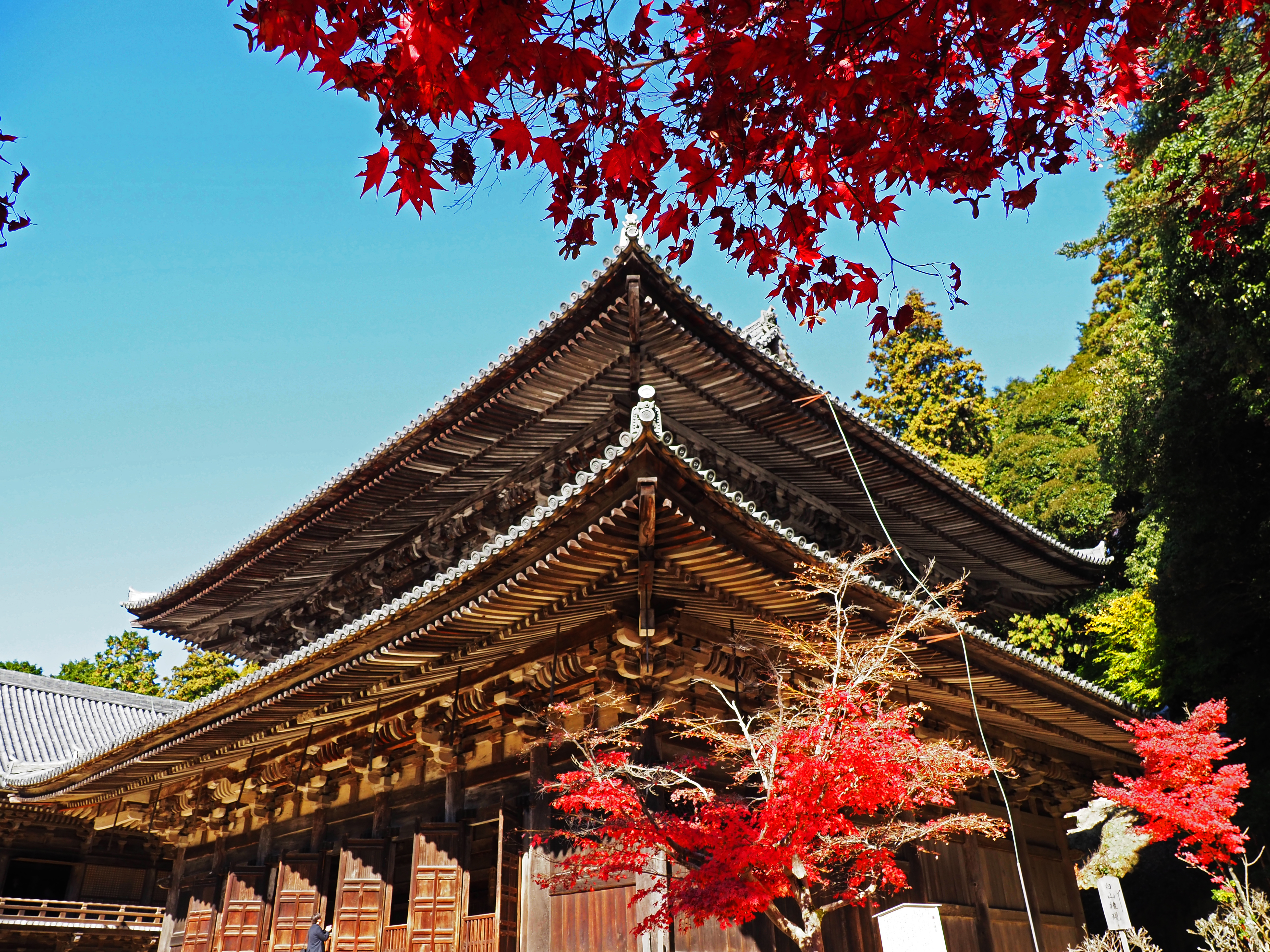 大講堂と紅葉