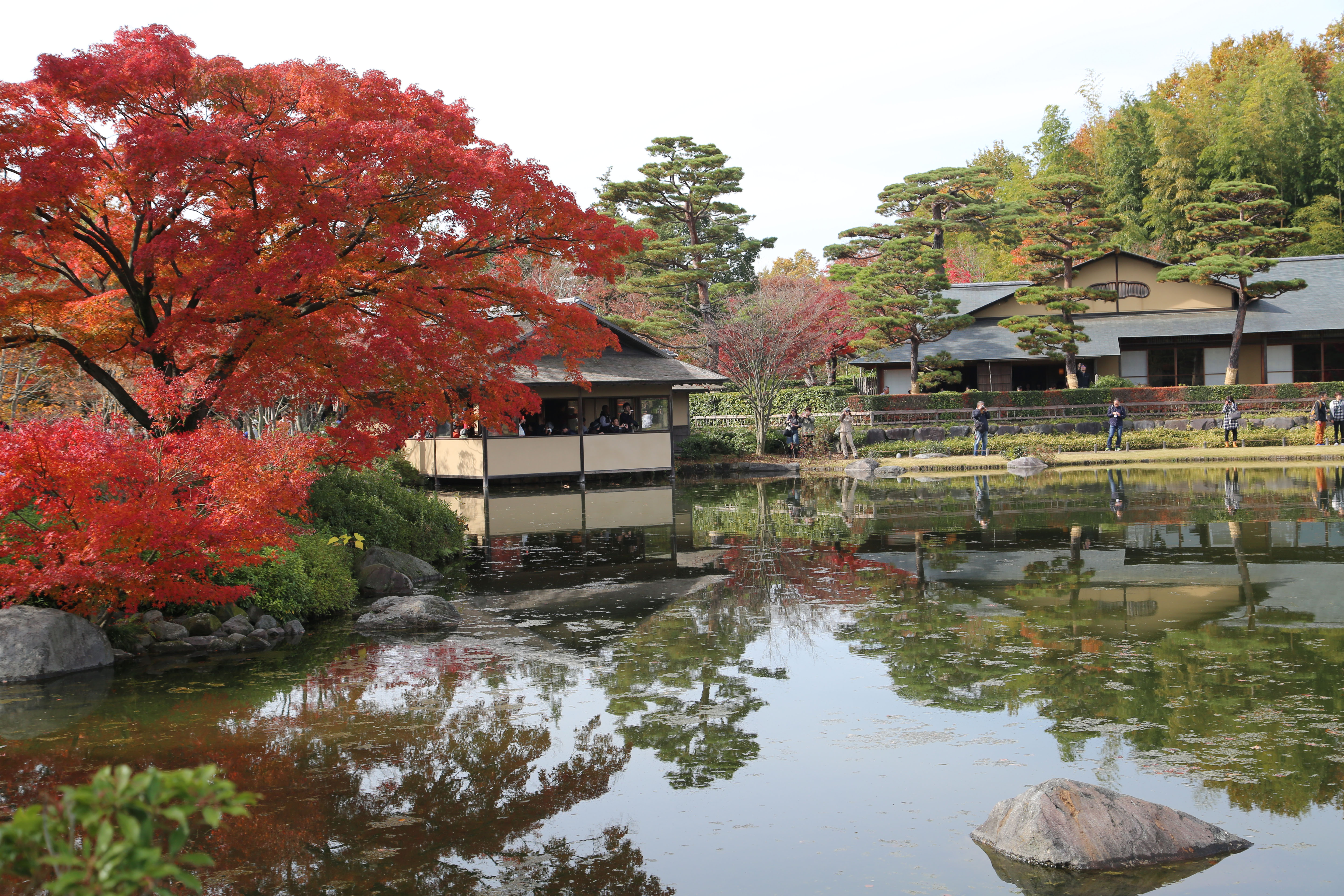 日本庭園