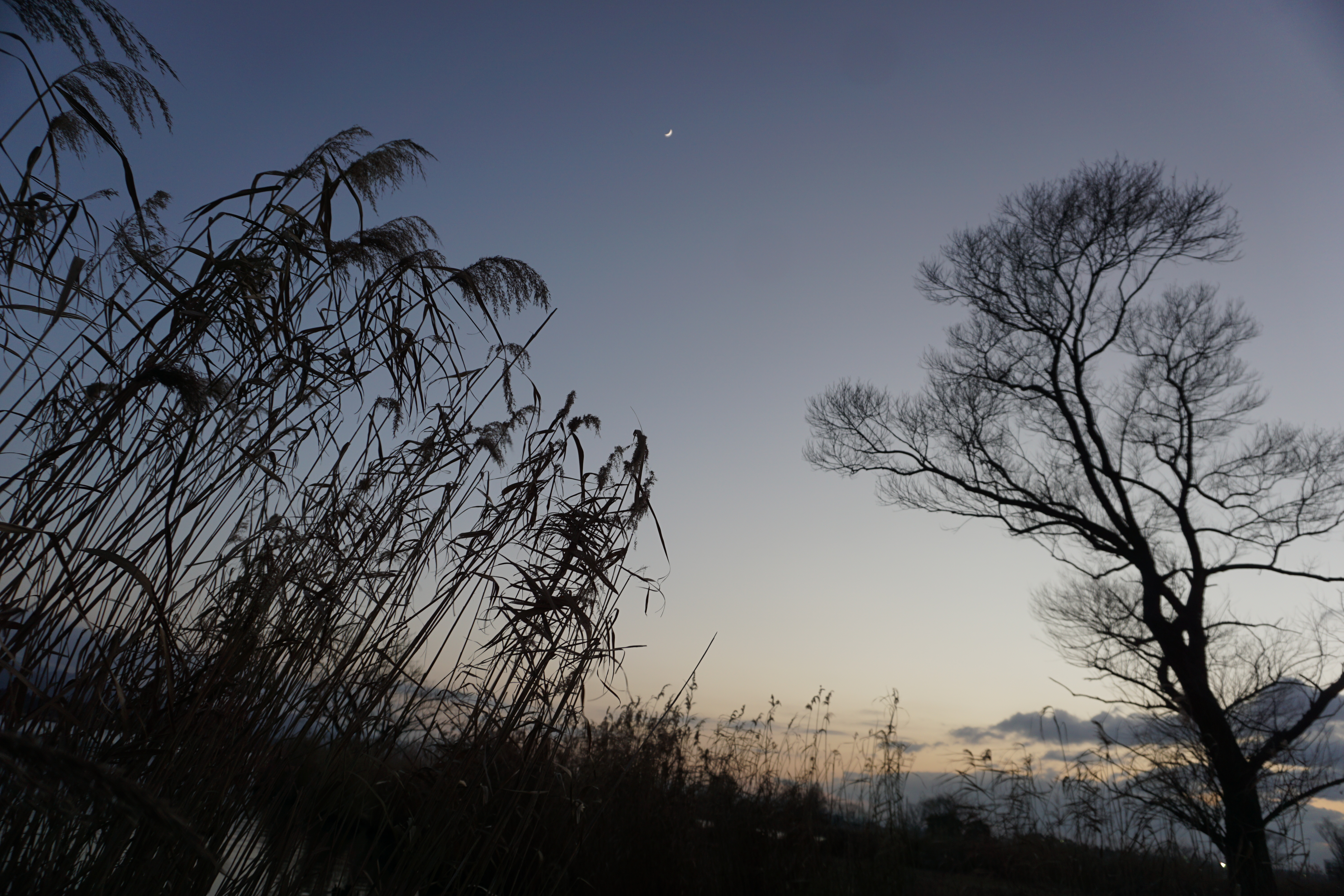 夕暮れ