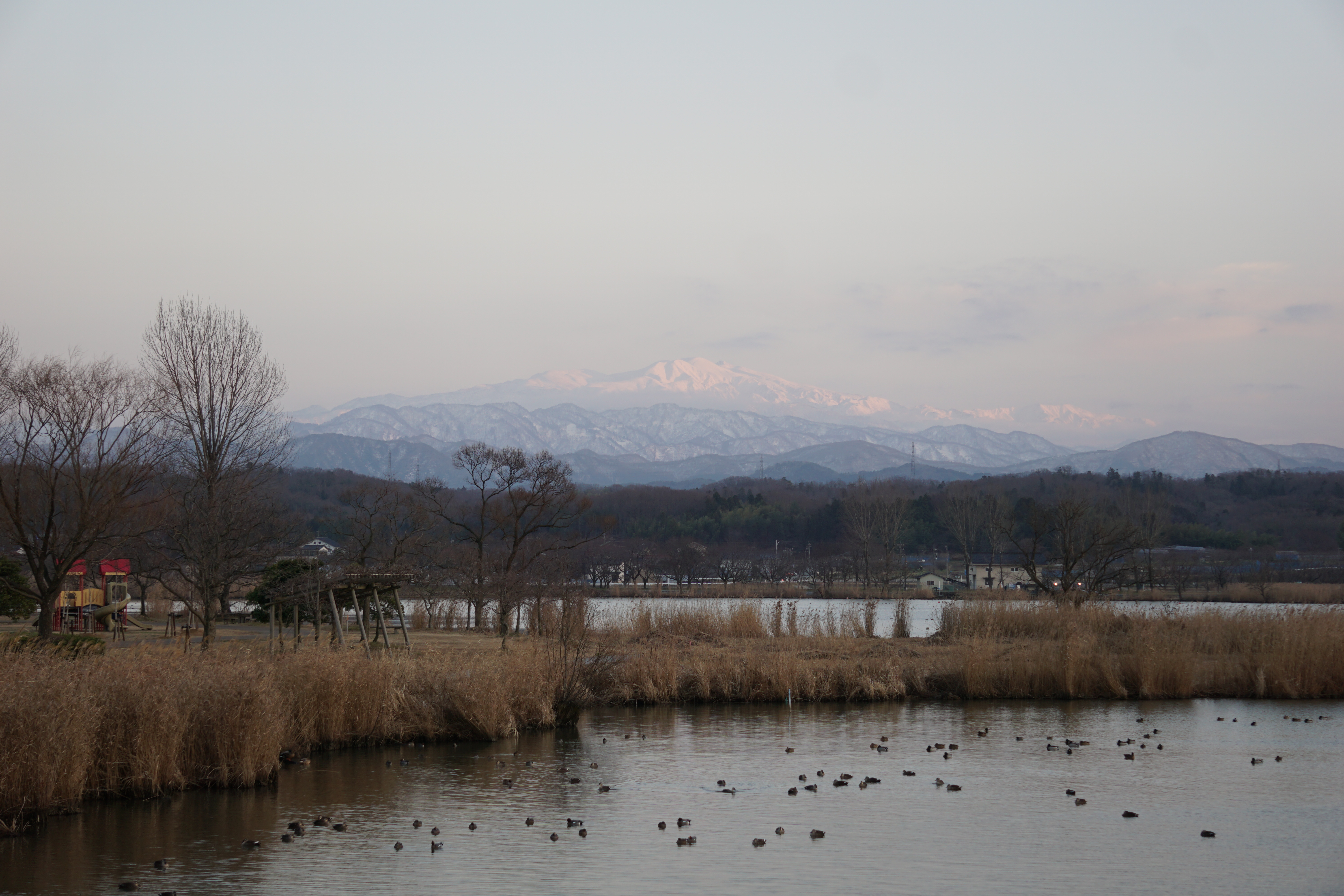白山