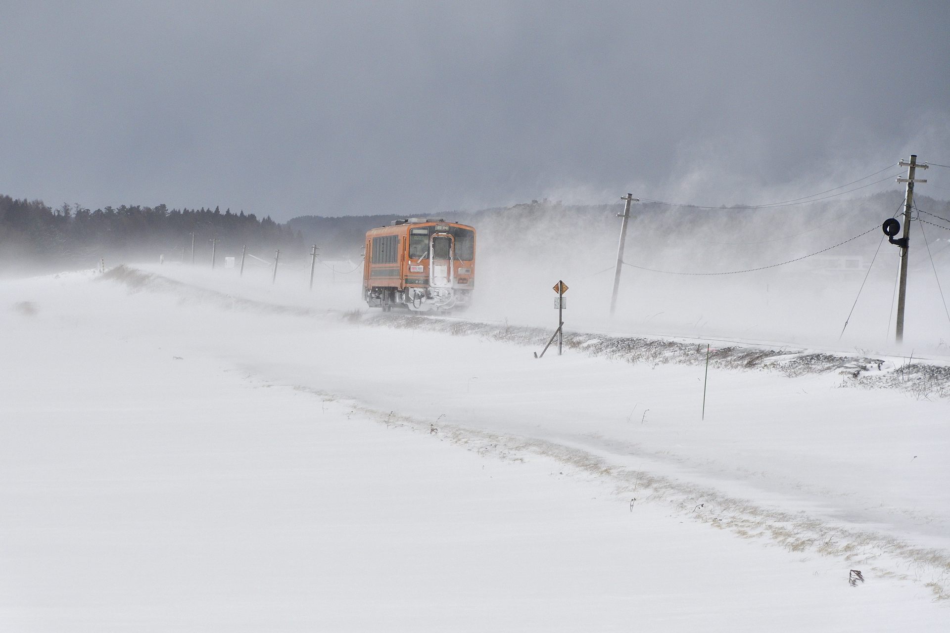地吹雪の中