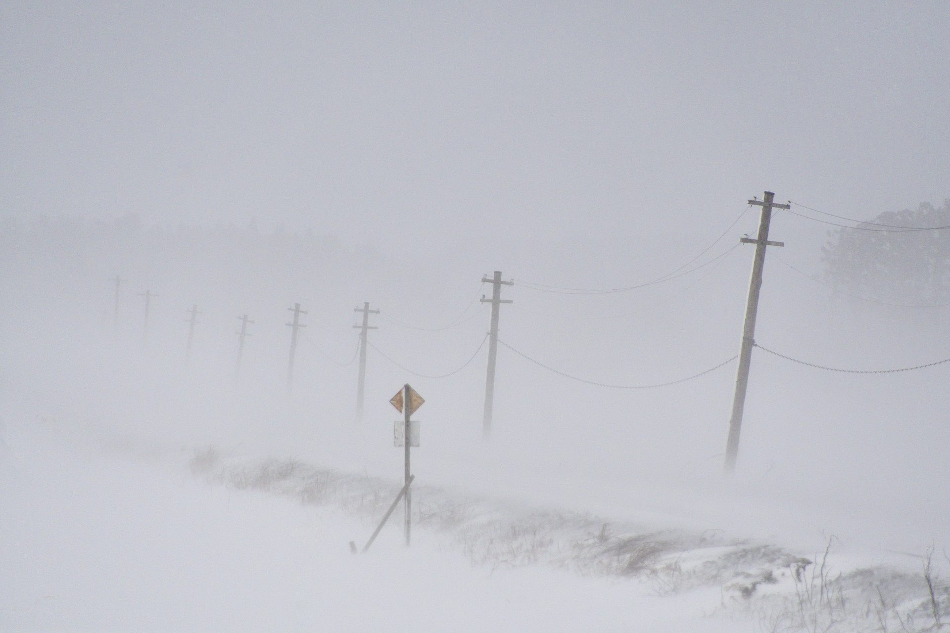 地吹雪