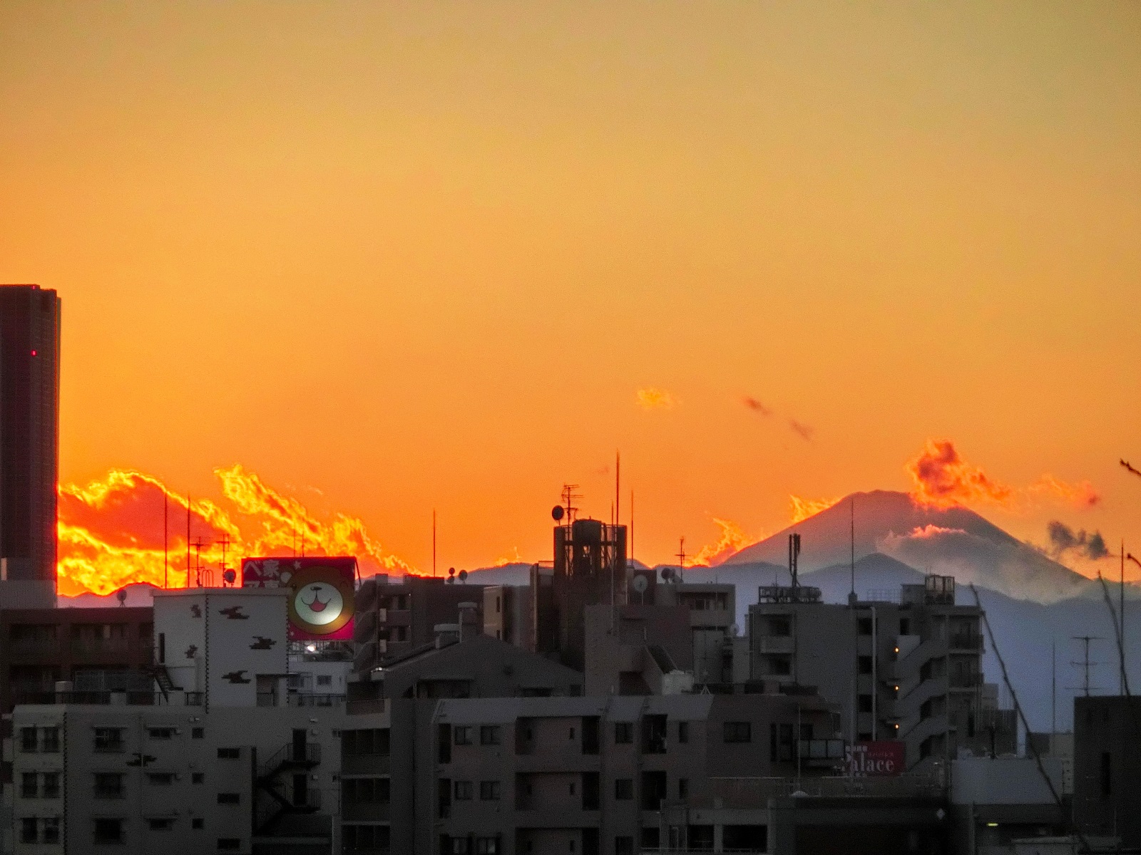 ビルの背後に繰り広げられているドラマ