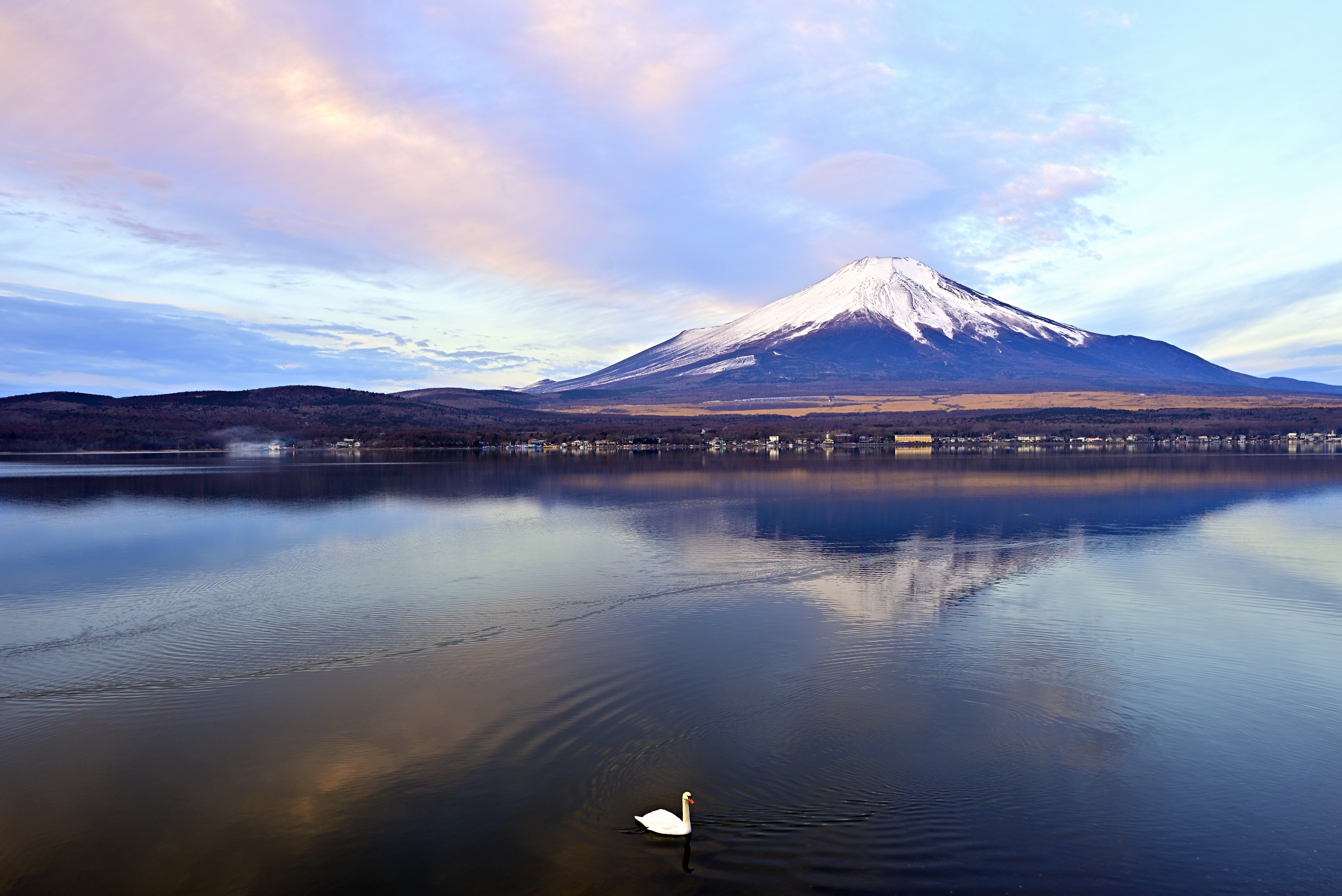 長閑な景色