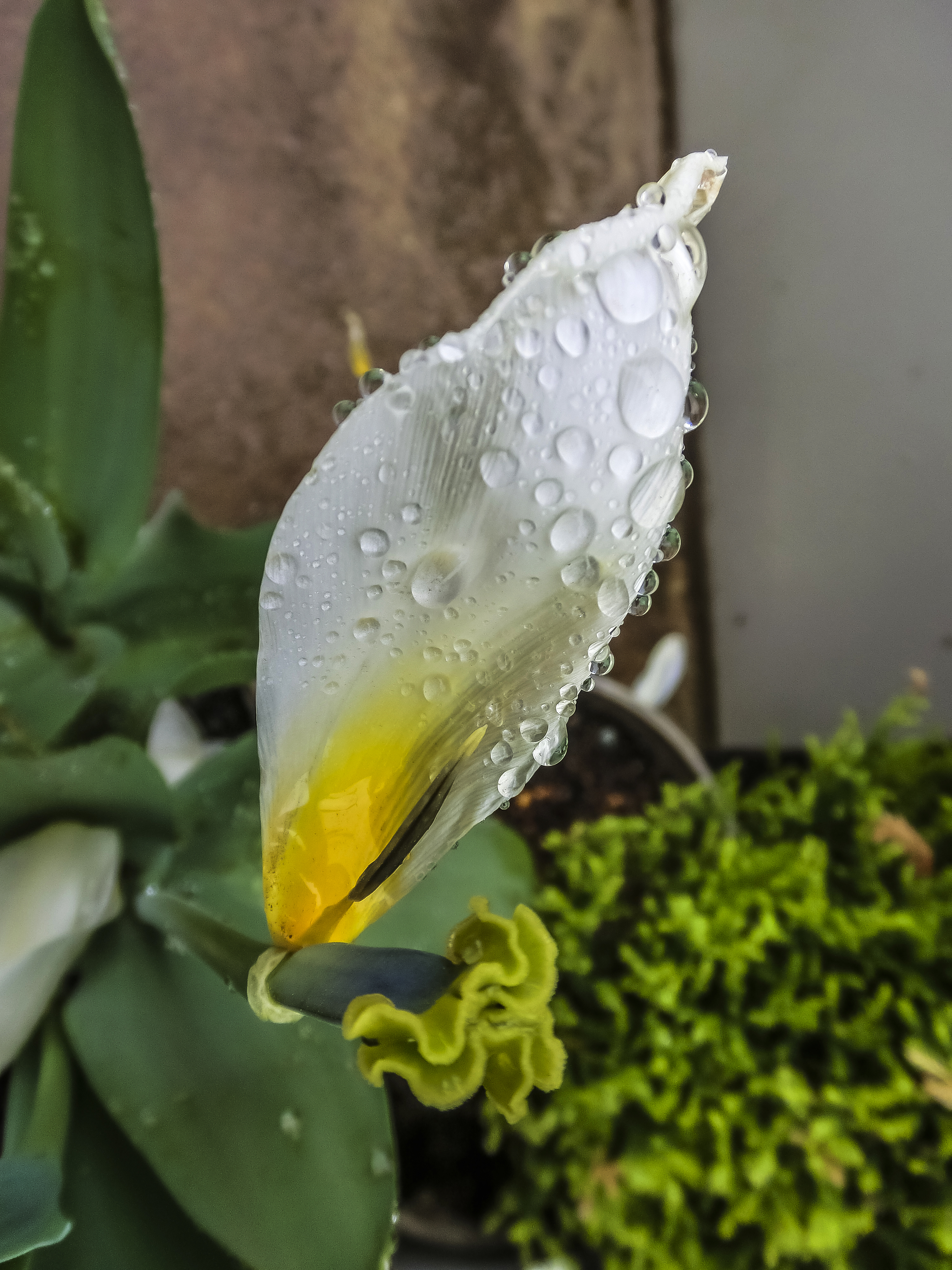 雨は止んだよ
