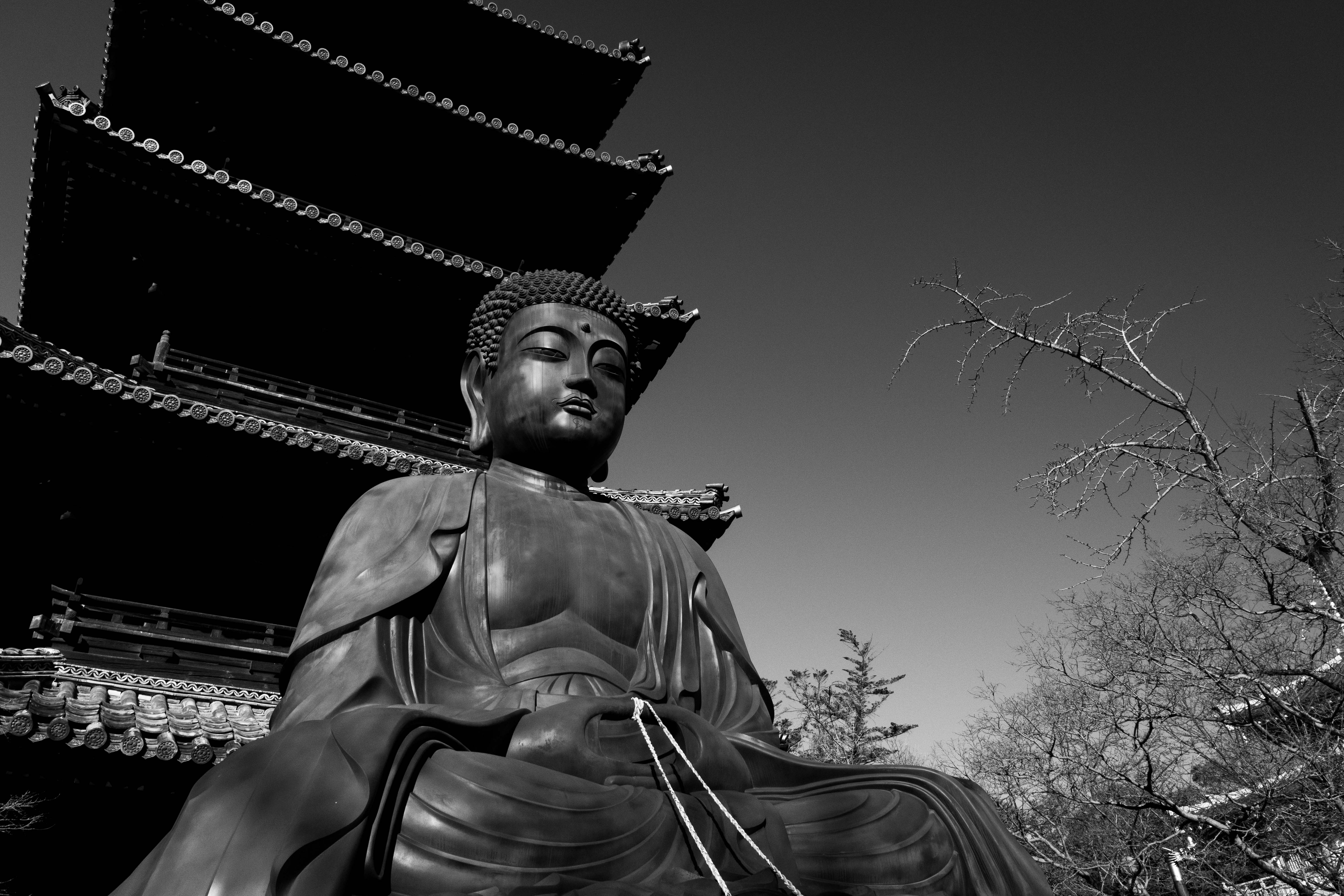 興正寺の大仏