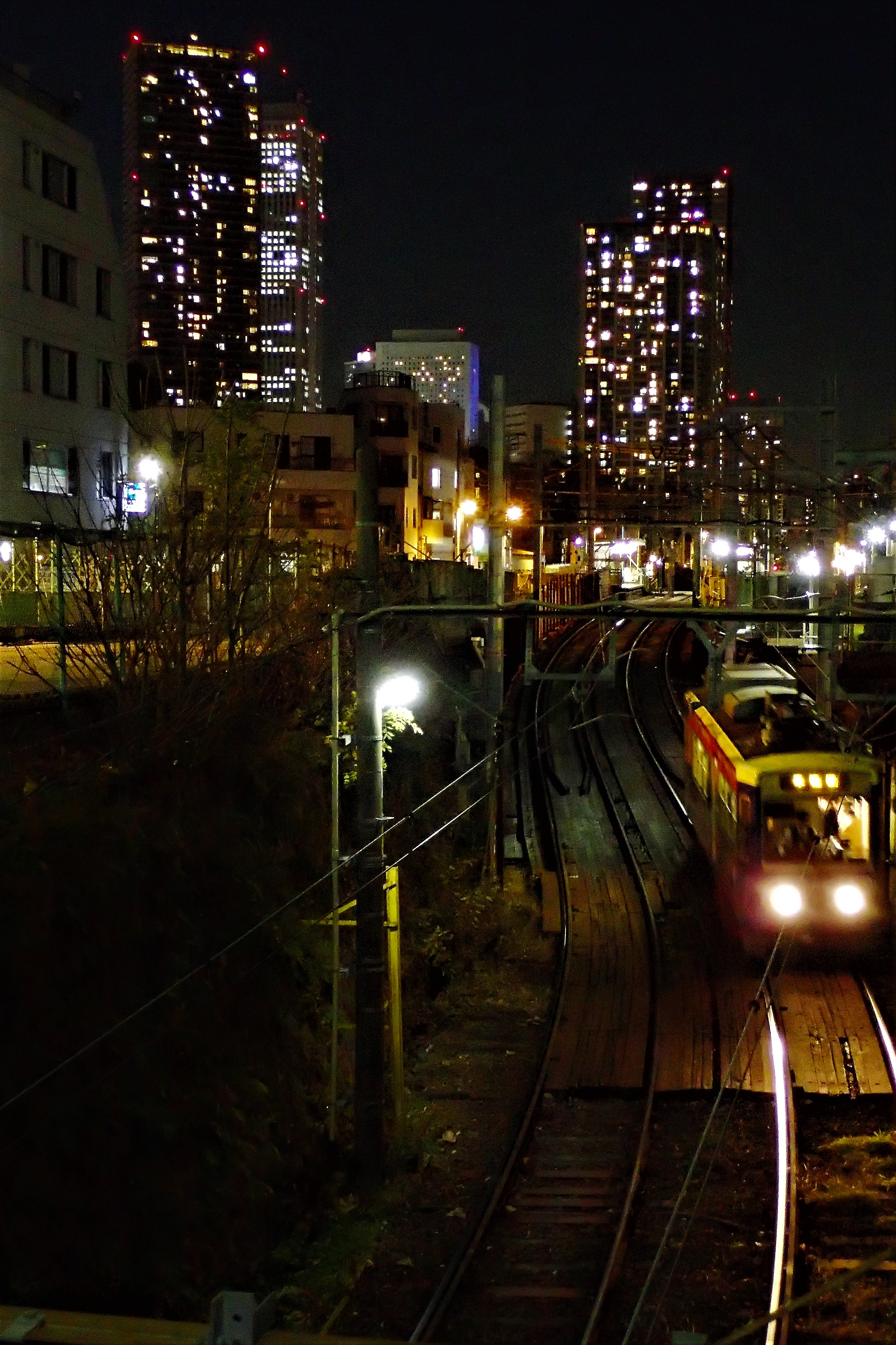 雑司ヶ谷辺り(縦)
