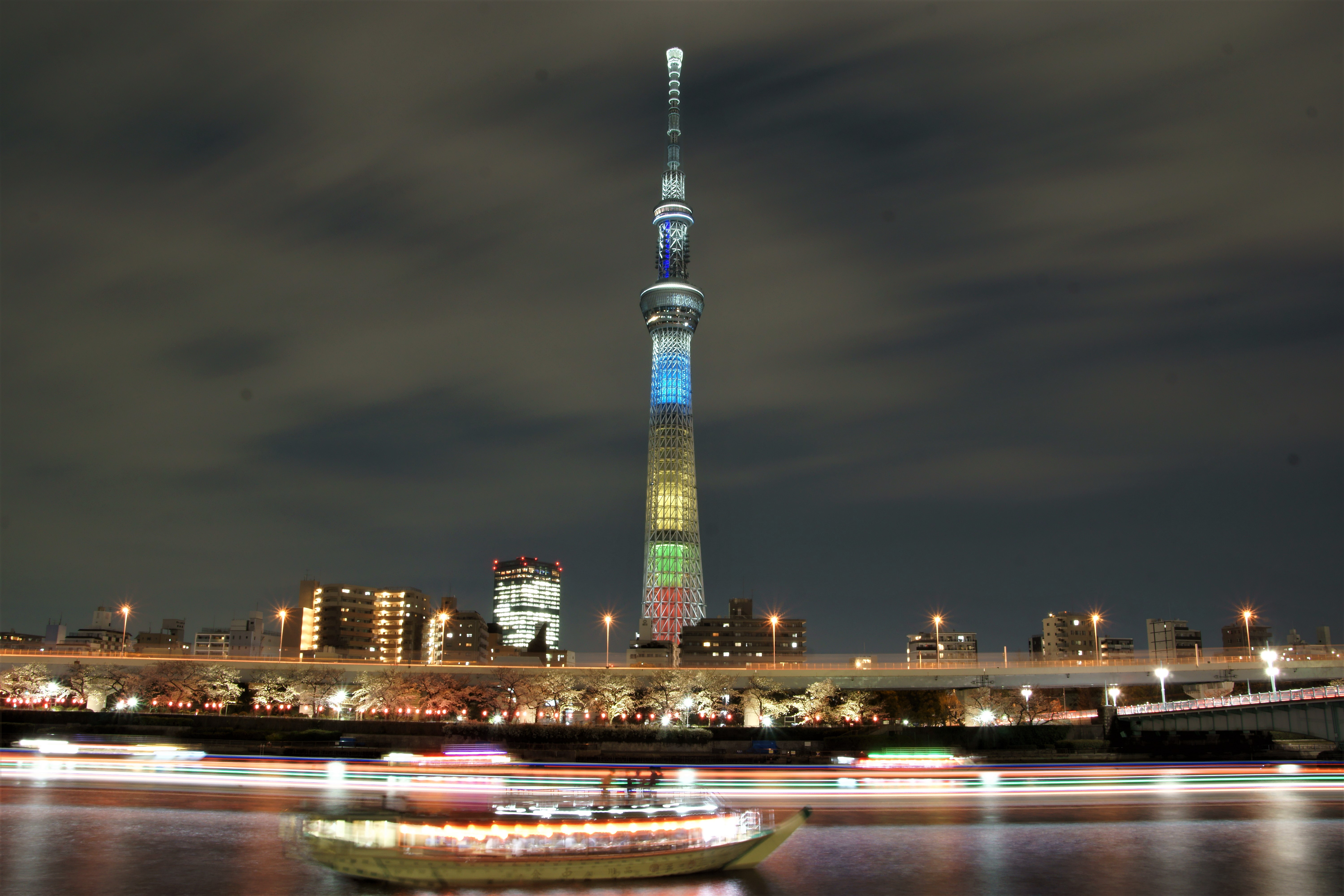 夜桜歓喜