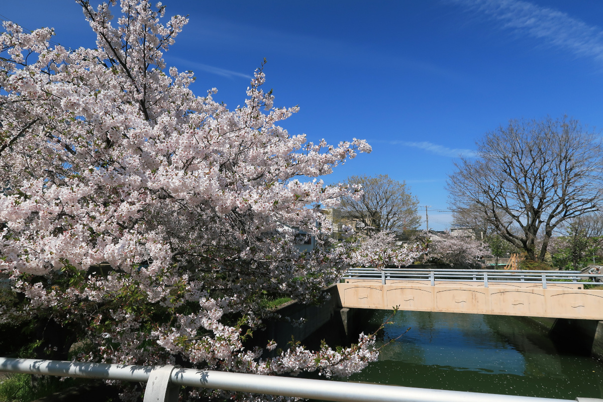 ふるさとの青い空