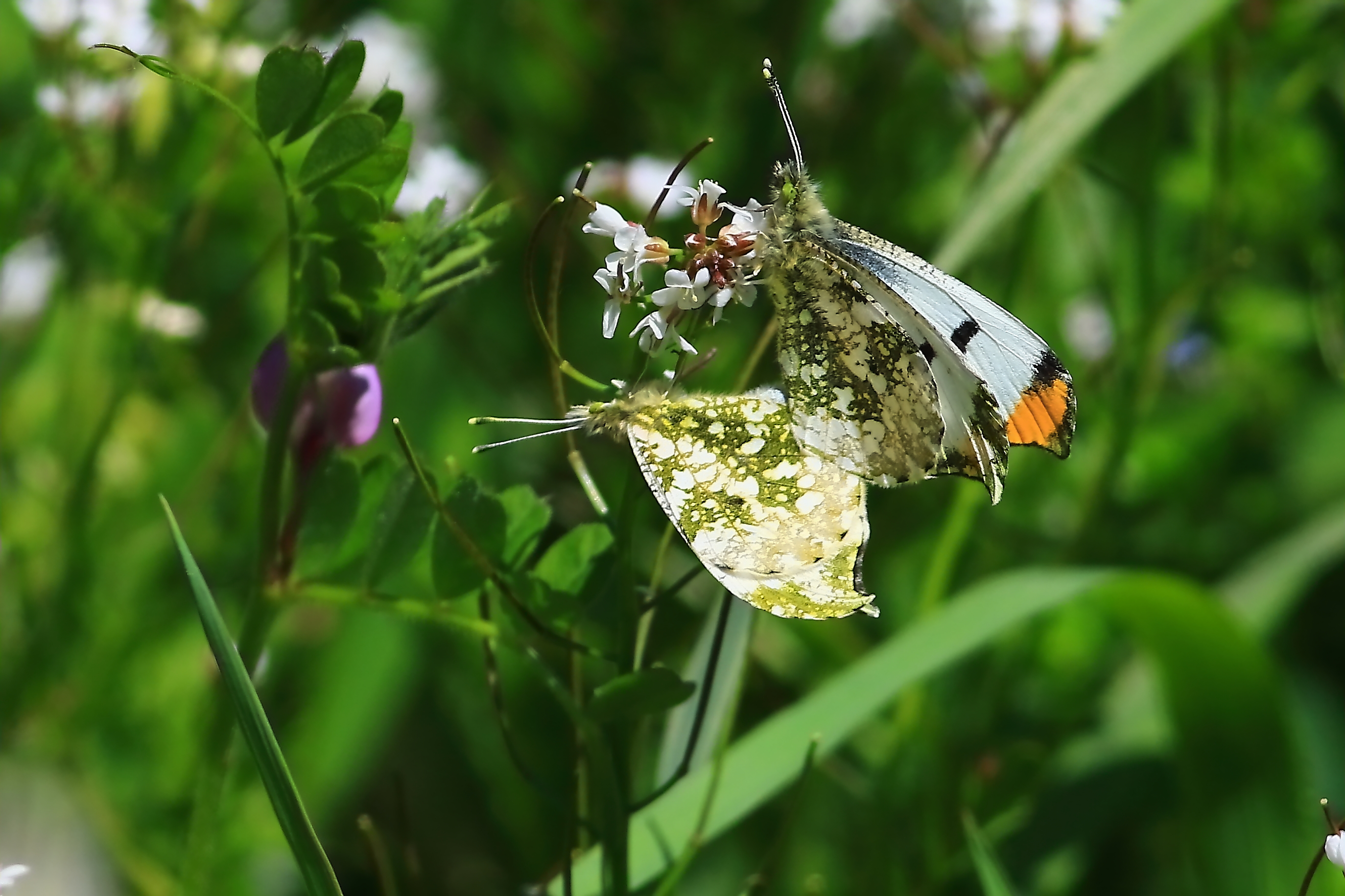 絆はいつまでも♡