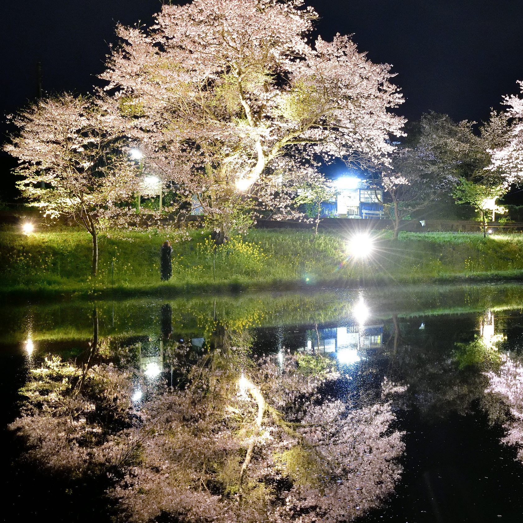 佇む