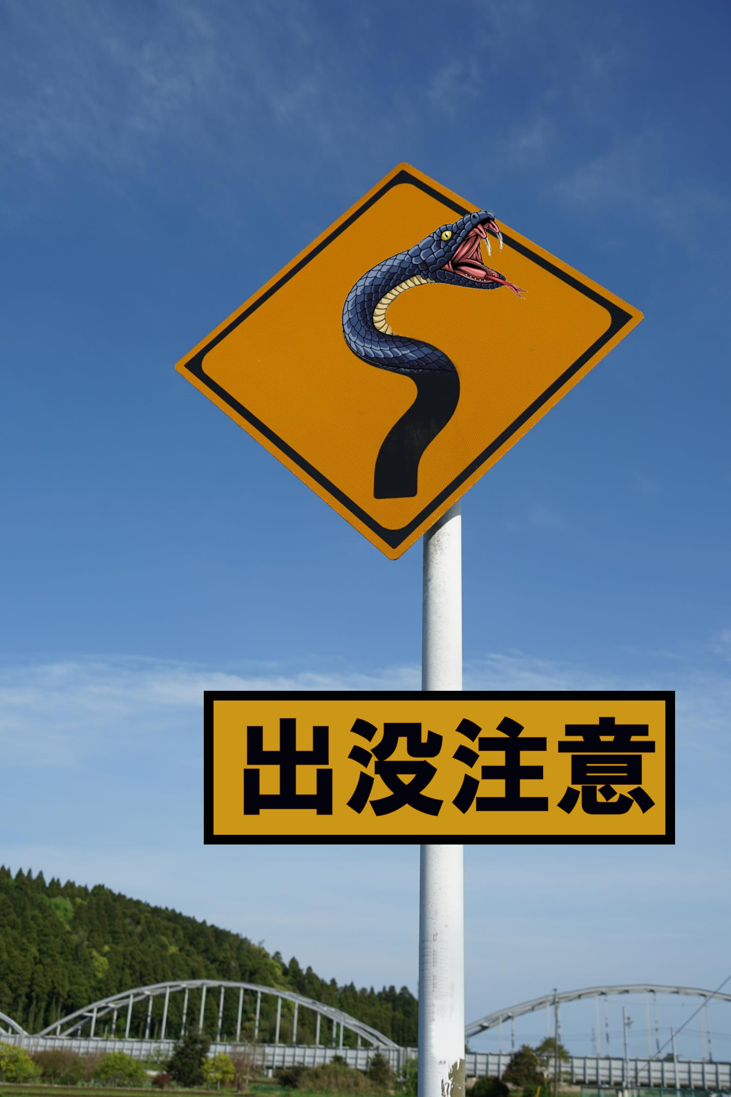 出没注意・・・・・