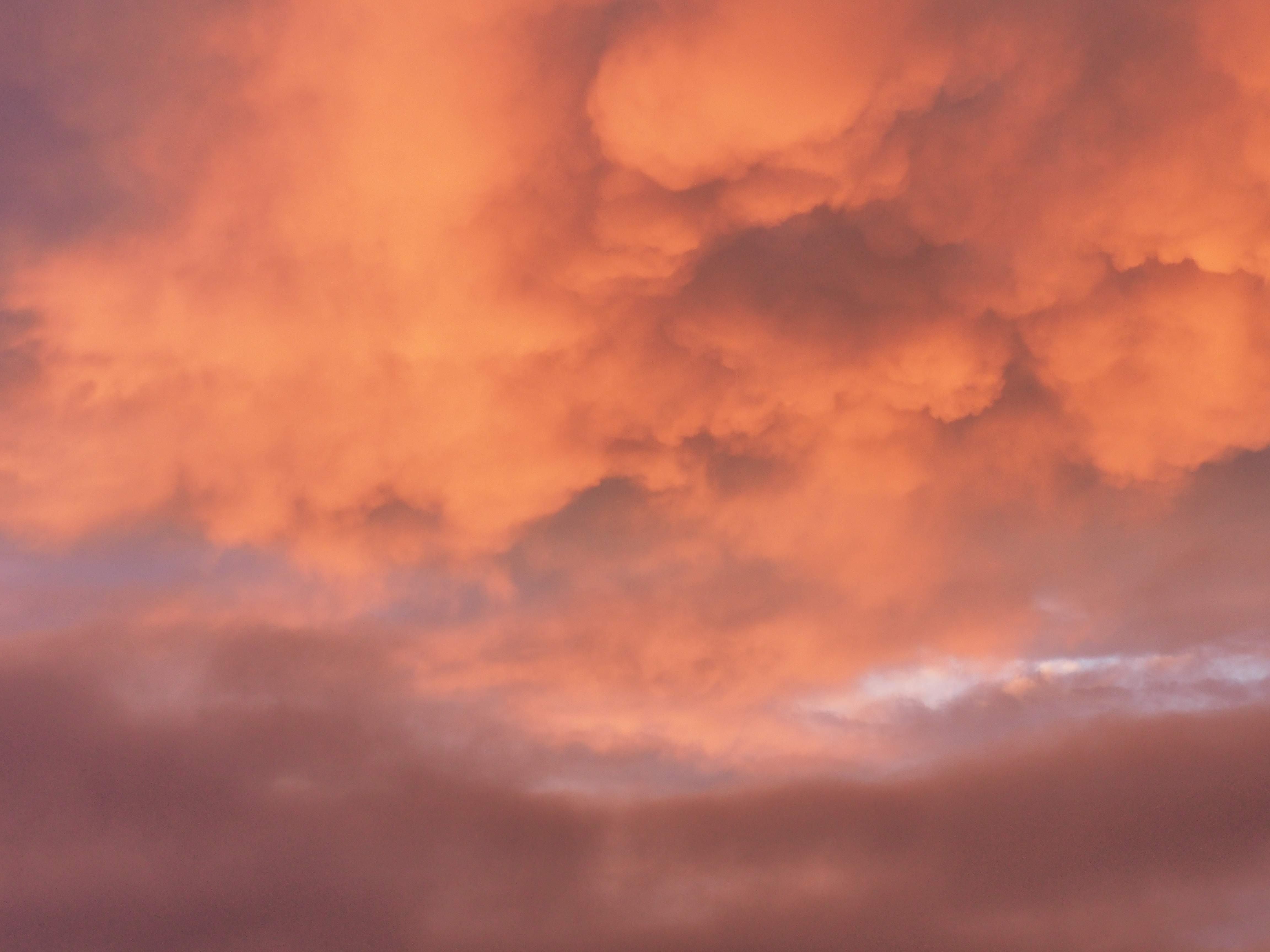 西日に染まった雲