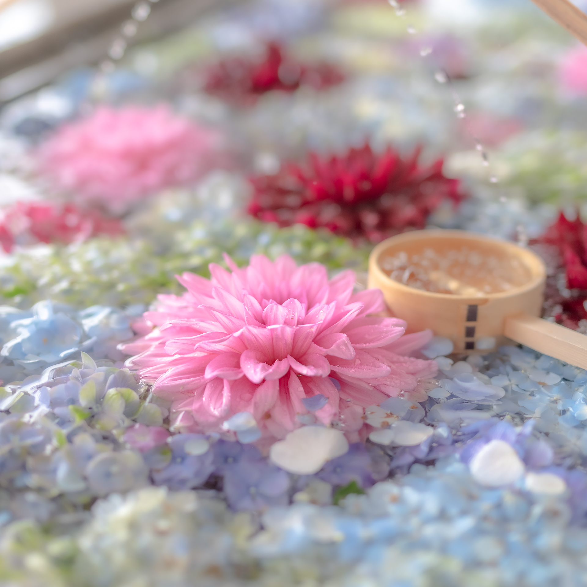 花の手水舎
