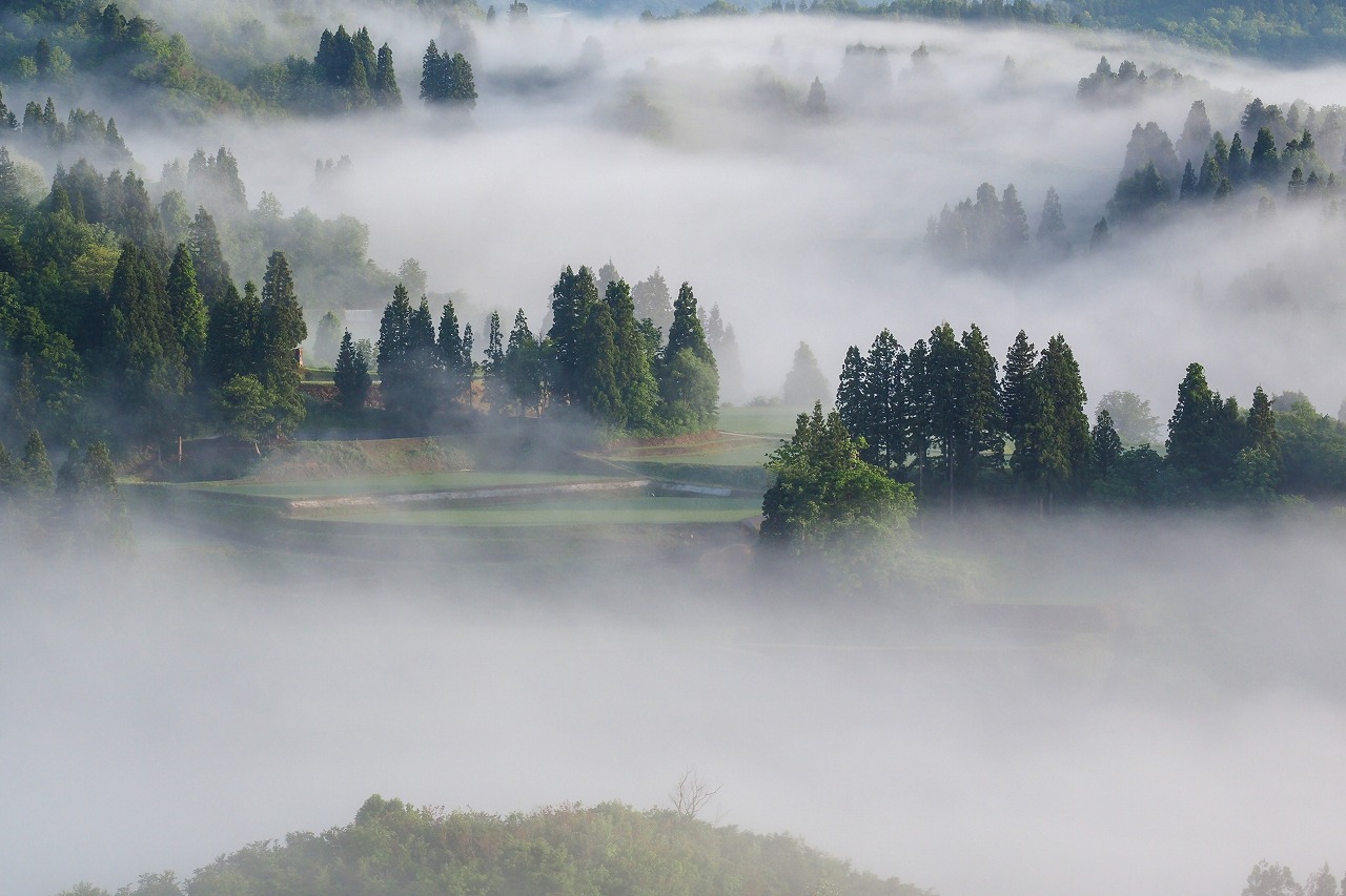 朝景